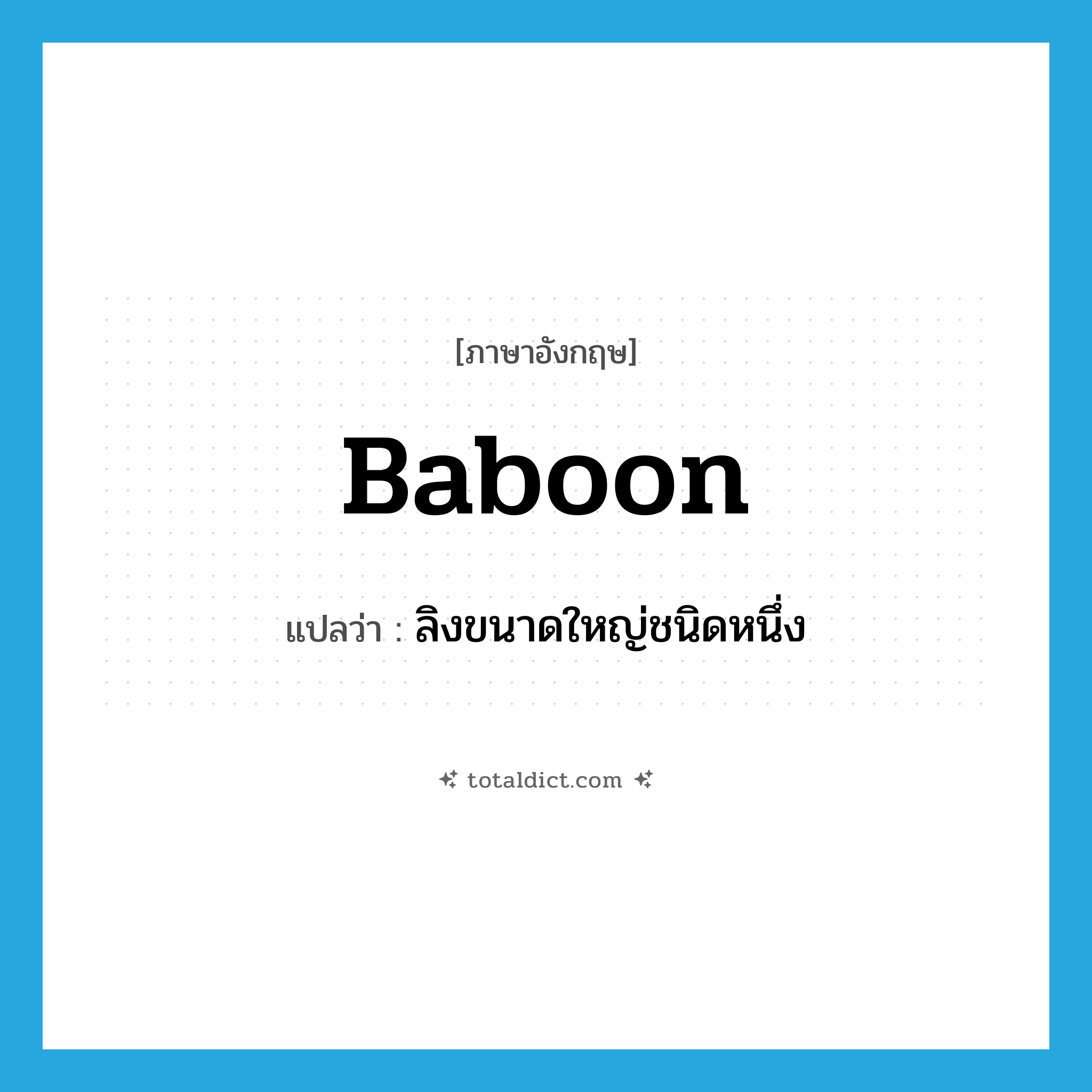 baboon แปลว่า?, คำศัพท์ภาษาอังกฤษ baboon แปลว่า ลิงขนาดใหญ่ชนิดหนึ่ง ประเภท N หมวด N