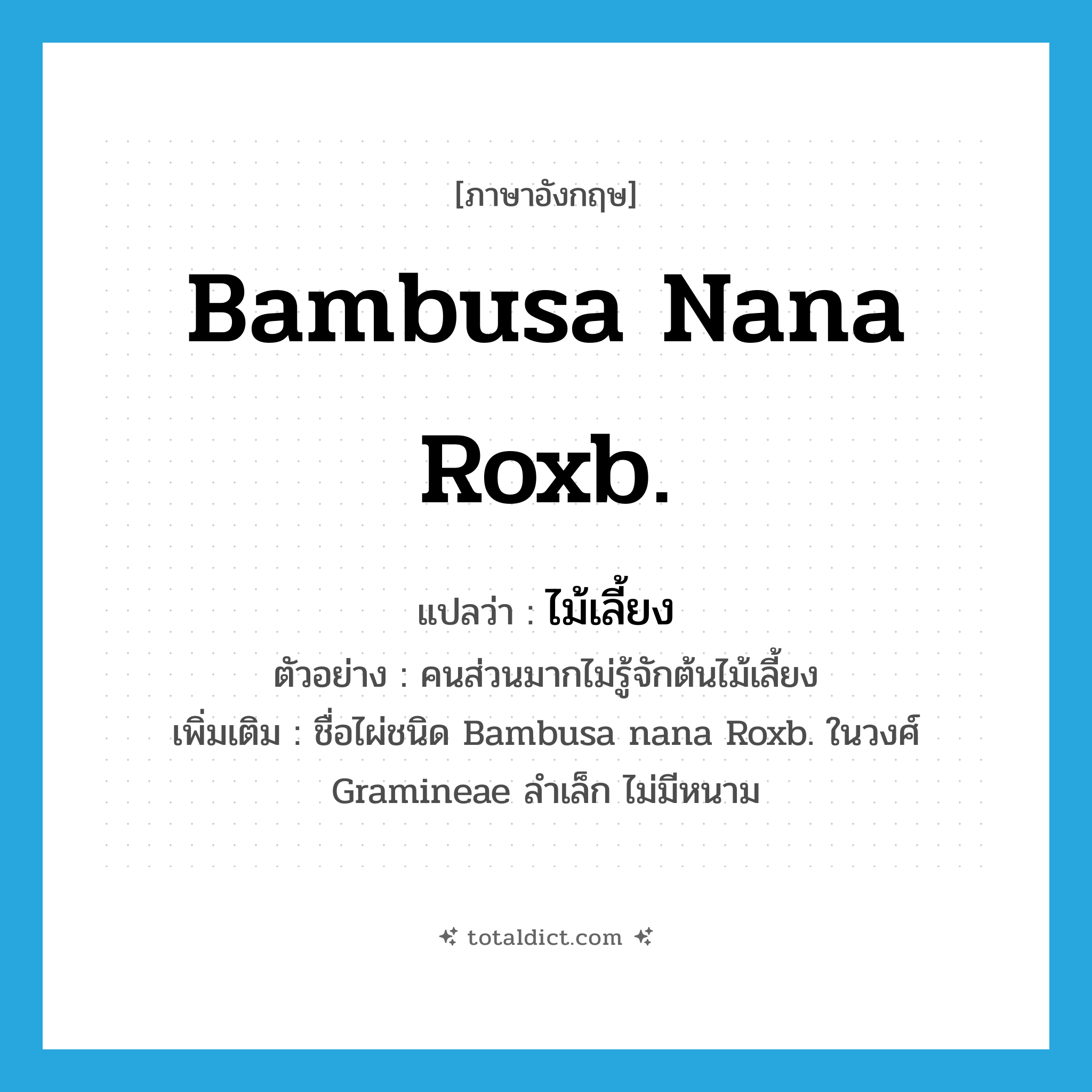 Bambusa nana Roxb. แปลว่า?, คำศัพท์ภาษาอังกฤษ Bambusa nana Roxb. แปลว่า ไม้เลี้ยง ประเภท N ตัวอย่าง คนส่วนมากไม่รู้จักต้นไม้เลี้ยง เพิ่มเติม ชื่อไผ่ชนิด Bambusa nana Roxb. ในวงศ์ Gramineae ลำเล็ก ไม่มีหนาม หมวด N