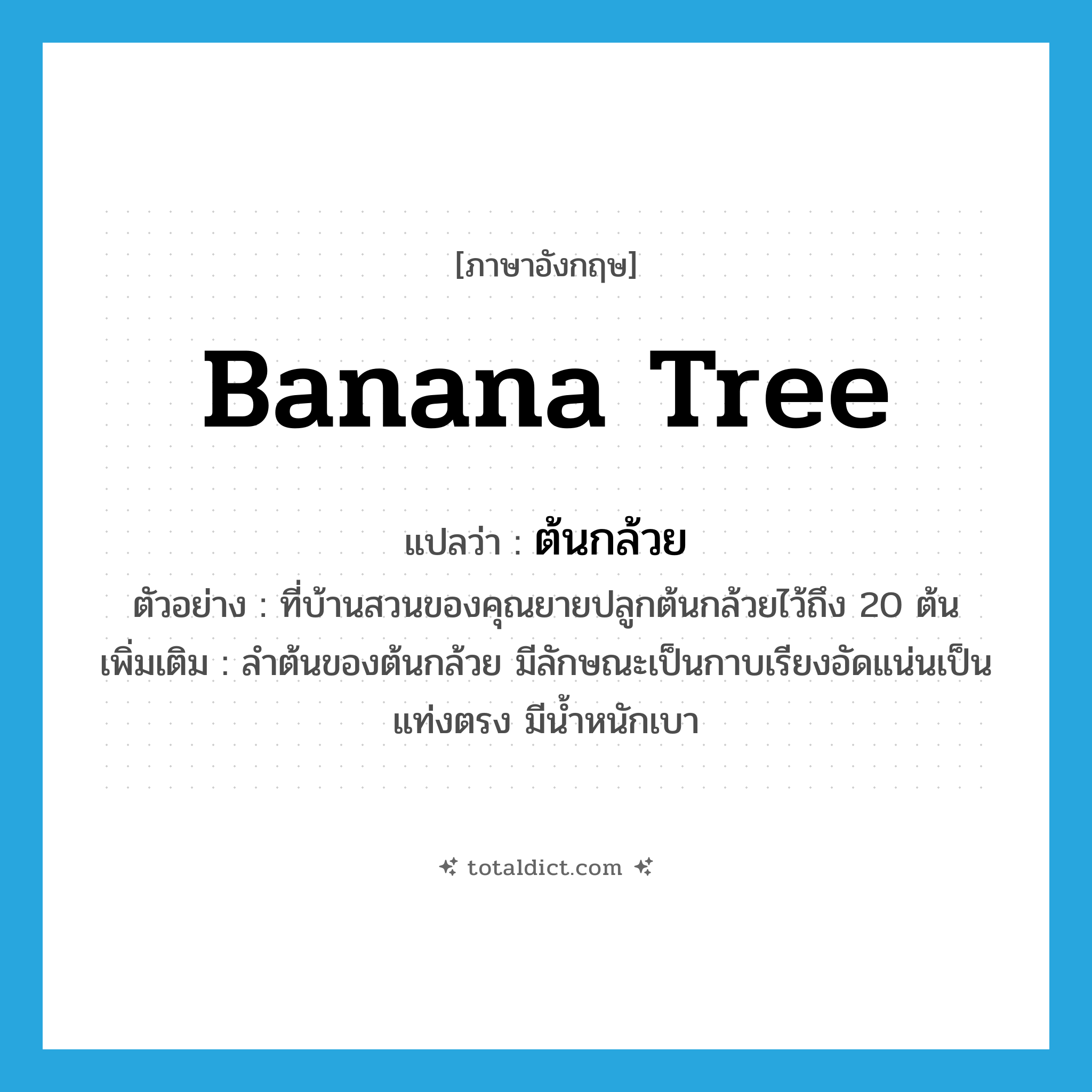 banana tree แปลว่า?, คำศัพท์ภาษาอังกฤษ banana tree แปลว่า ต้นกล้วย ประเภท N ตัวอย่าง ที่บ้านสวนของคุณยายปลูกต้นกล้วยไว้ถึง 20 ต้น เพิ่มเติม ลำต้นของต้นกล้วย มีลักษณะเป็นกาบเรียงอัดแน่นเป็นแท่งตรง มีน้ำหนักเบา หมวด N