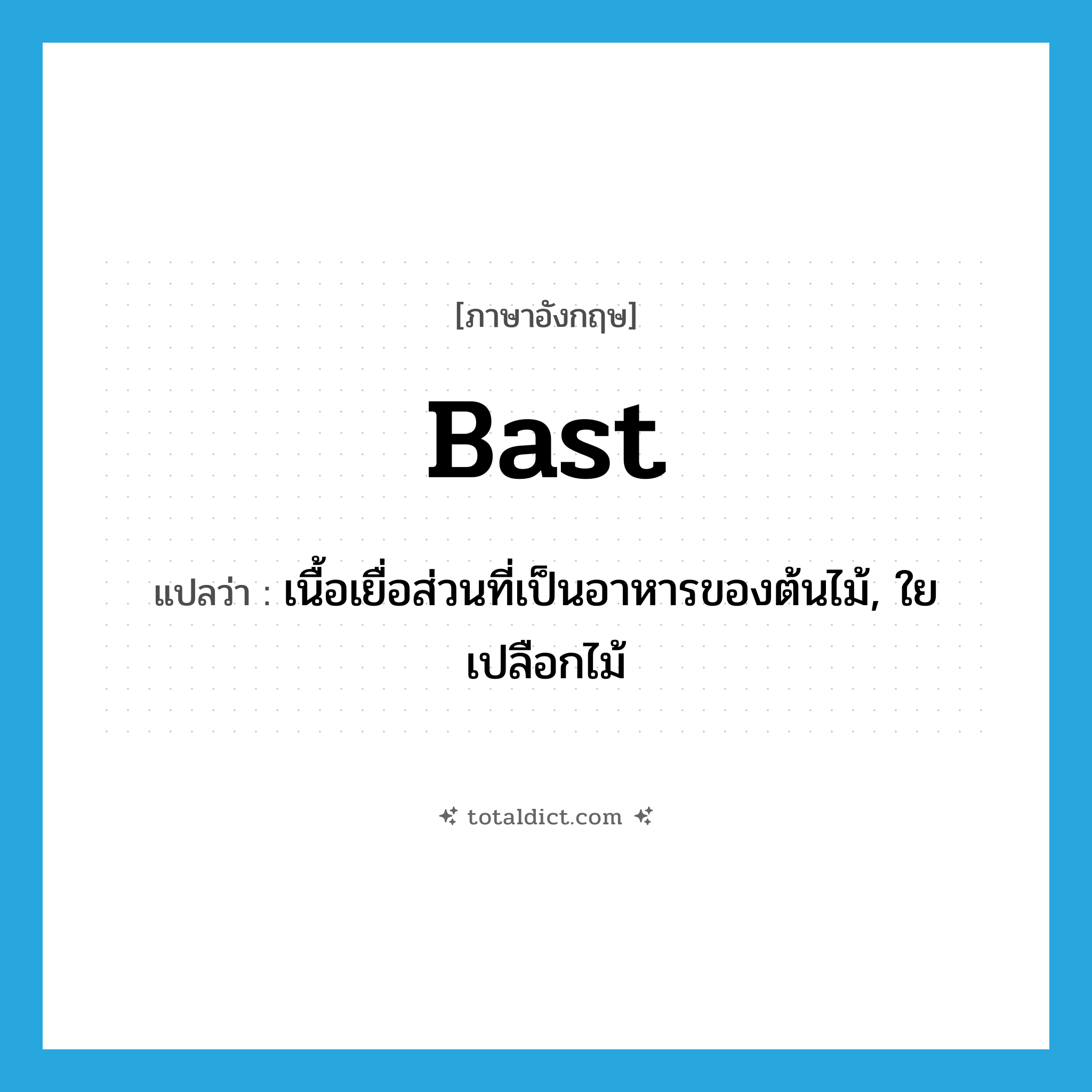 bast แปลว่า?, คำศัพท์ภาษาอังกฤษ bast แปลว่า เนื้อเยื่อส่วนที่เป็นอาหารของต้นไม้, ใยเปลือกไม้ ประเภท N หมวด N