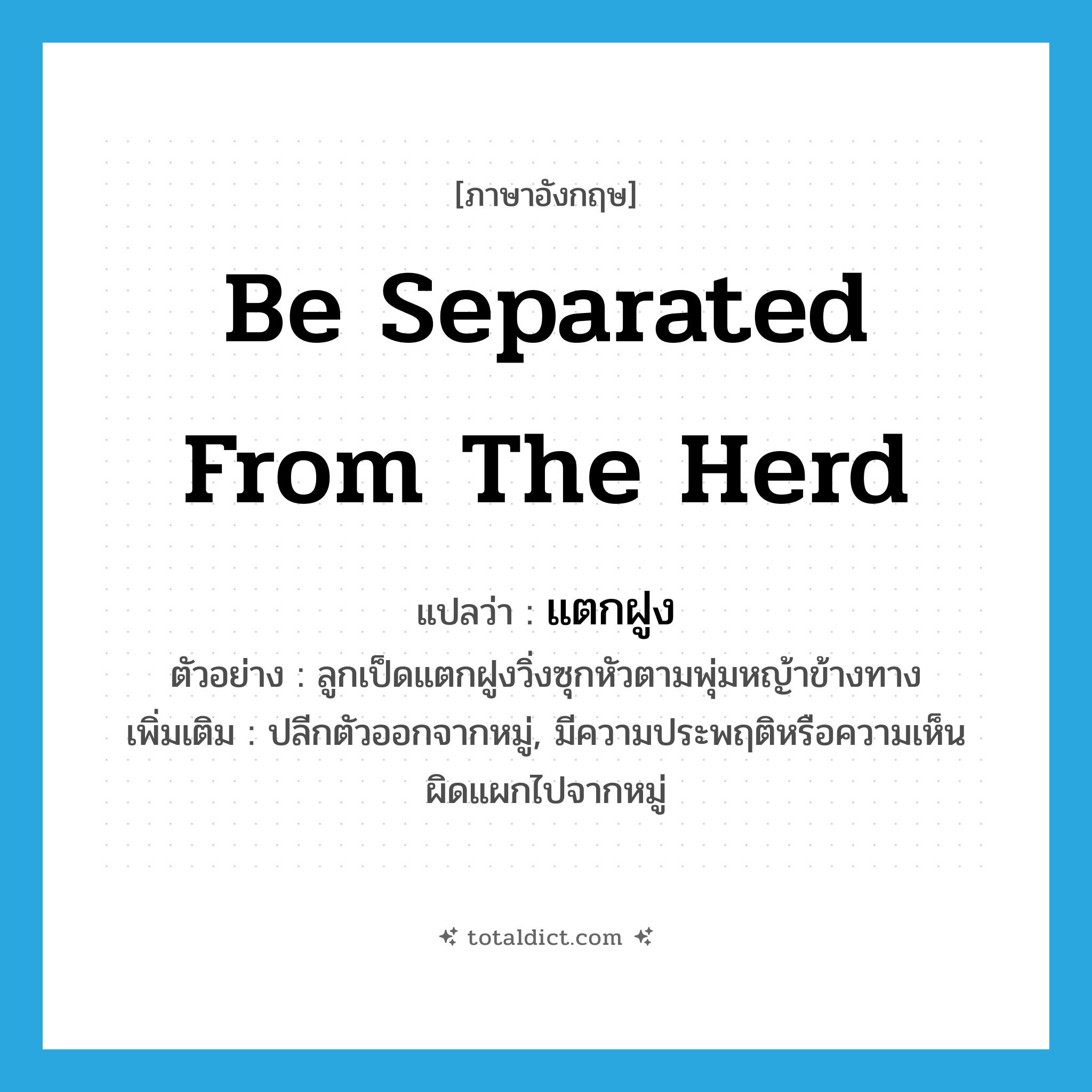 be separated from the herd แปลว่า?, คำศัพท์ภาษาอังกฤษ be separated from the herd แปลว่า แตกฝูง ประเภท V ตัวอย่าง ลูกเป็ดแตกฝูงวิ่งซุกหัวตามพุ่มหญ้าข้างทาง เพิ่มเติม ปลีกตัวออกจากหมู่, มีความประพฤติหรือความเห็นผิดแผกไปจากหมู่ หมวด V