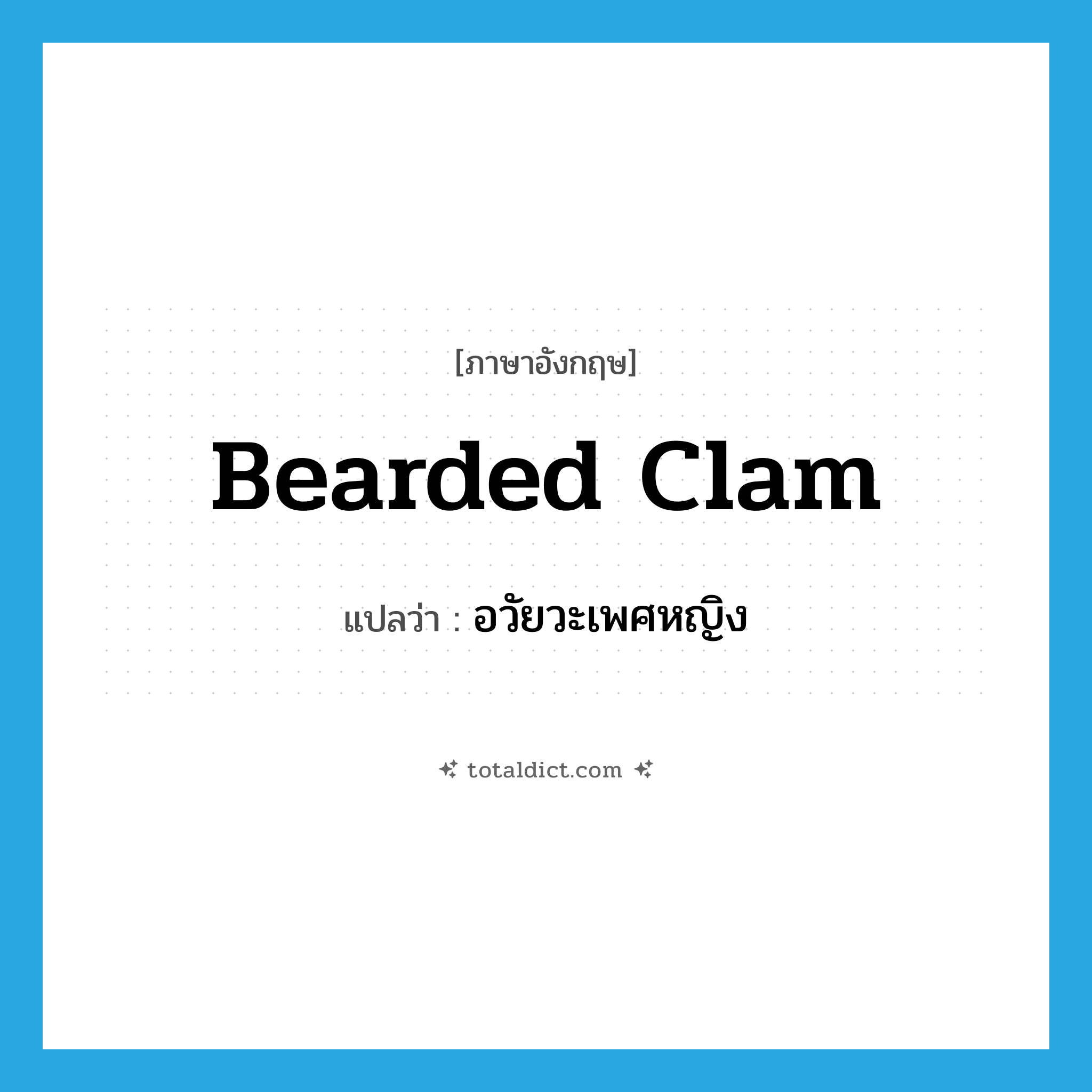 อวัยวะเพศหญิง ภาษาอังกฤษ?, คำศัพท์ภาษาอังกฤษ อวัยวะเพศหญิง แปลว่า bearded clam ประเภท SL หมวด SL