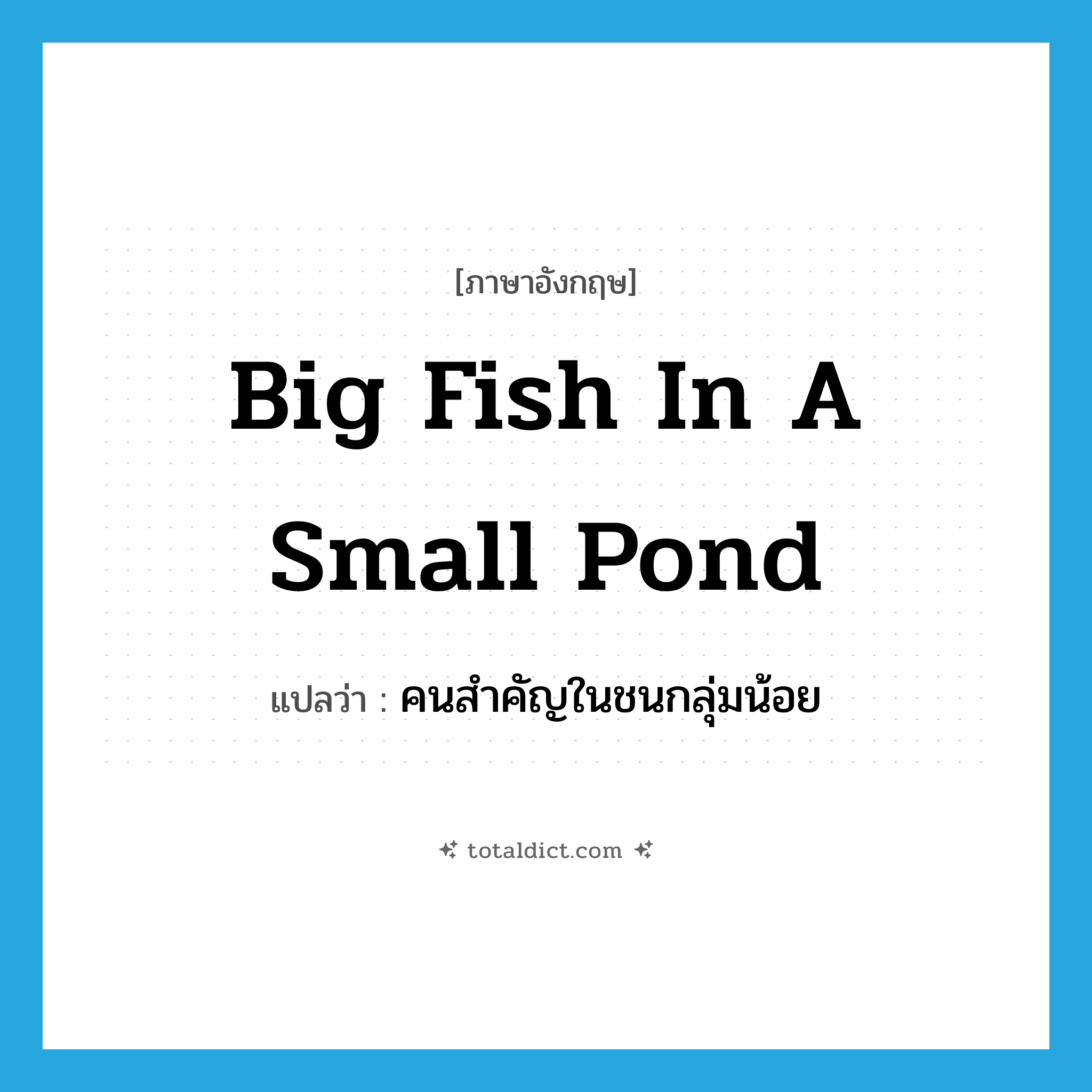 big fish in a small pond แปลว่า?, คำศัพท์ภาษาอังกฤษ big fish in a small pond แปลว่า คนสำคัญในชนกลุ่มน้อย ประเภท IDM หมวด IDM