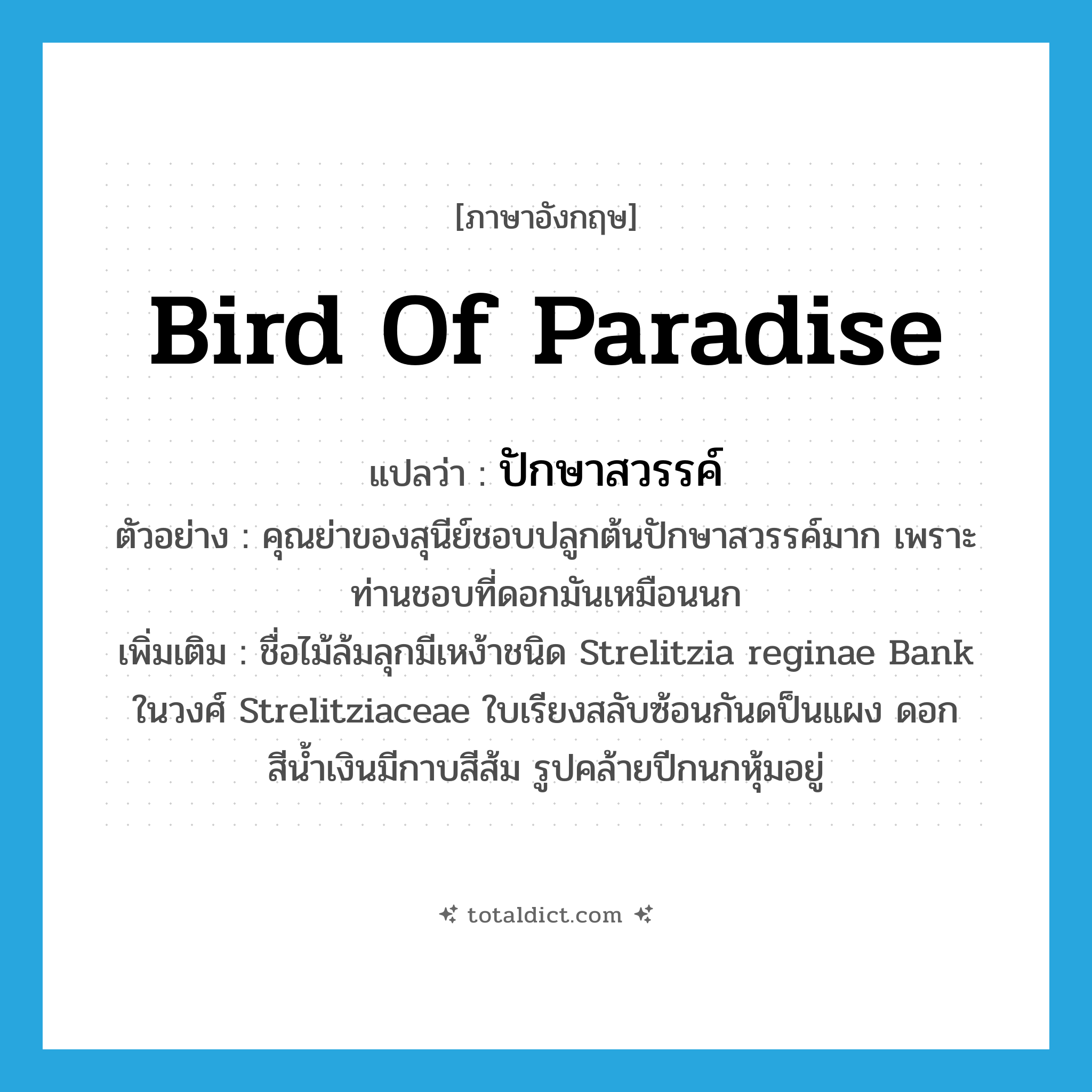 Bird of paradise แปลว่า?, คำศัพท์ภาษาอังกฤษ Bird of paradise แปลว่า ปักษาสวรรค์ ประเภท N ตัวอย่าง คุณย่าของสุนีย์ชอบปลูกต้นปักษาสวรรค์มาก เพราะท่านชอบที่ดอกมันเหมือนนก เพิ่มเติม ชื่อไม้ล้มลุกมีเหง้าชนิด Strelitzia reginae Bank ในวงศ์ Strelitziaceae ใบเรียงสลับซ้อนกันดป็นแผง ดอกสีน้ำเงินมีกาบสีส้ม รูปคล้ายปีกนกหุ้มอยู่ หมวด N