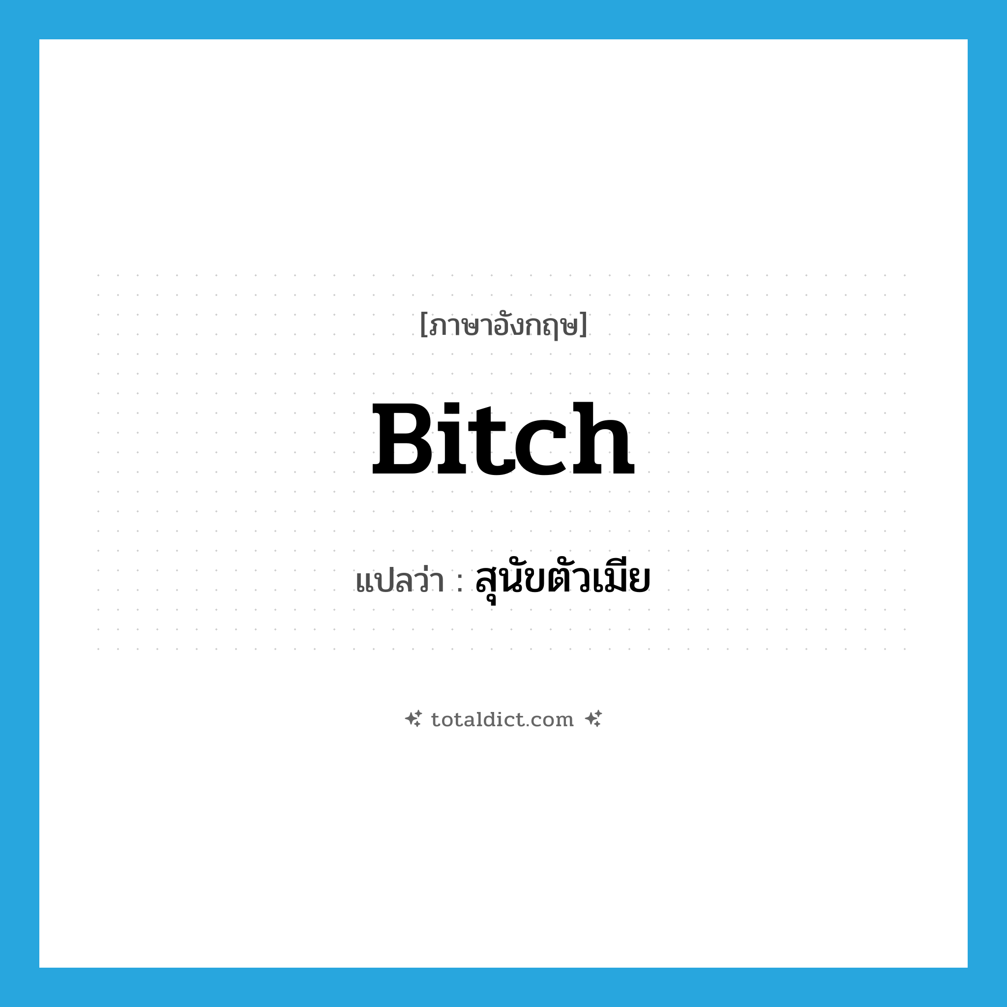 bitch แปลว่า?, คำศัพท์ภาษาอังกฤษ bitch แปลว่า สุนัขตัวเมีย ประเภท N หมวด N