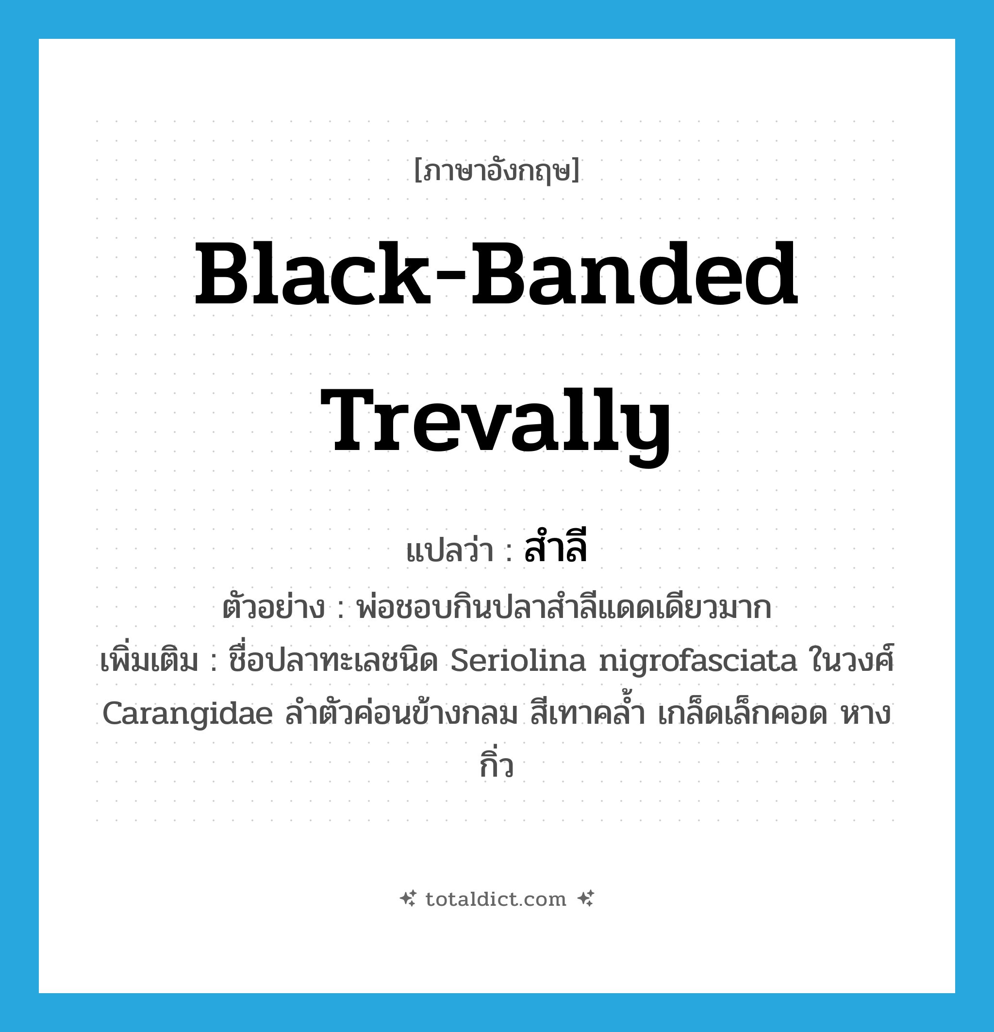 black-banded trevally แปลว่า?, คำศัพท์ภาษาอังกฤษ black-banded trevally แปลว่า สำลี ประเภท N ตัวอย่าง พ่อชอบกินปลาสำลีแดดเดียวมาก เพิ่มเติม ชื่อปลาทะเลชนิด Seriolina nigrofasciata ในวงศ์ Carangidae ลำตัวค่อนข้างกลม สีเทาคล้ำ เกล็ดเล็กคอด หางกิ่ว หมวด N