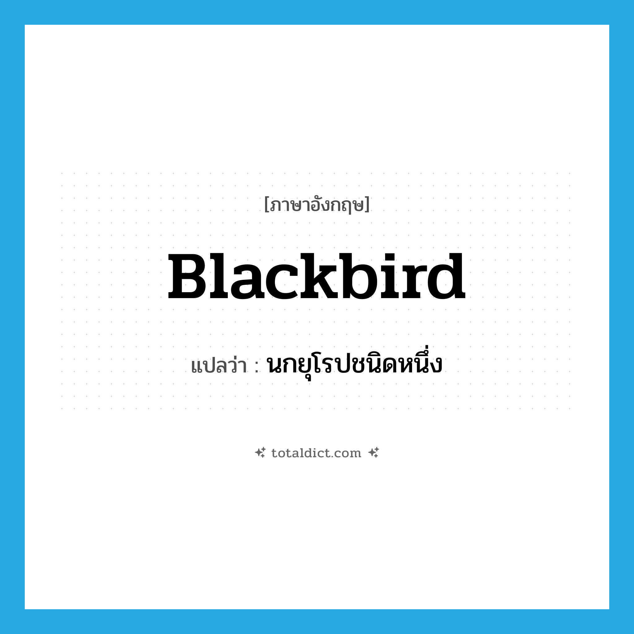 blackbird แปลว่า?, คำศัพท์ภาษาอังกฤษ blackbird แปลว่า นกยุโรปชนิดหนึ่ง ประเภท N หมวด N
