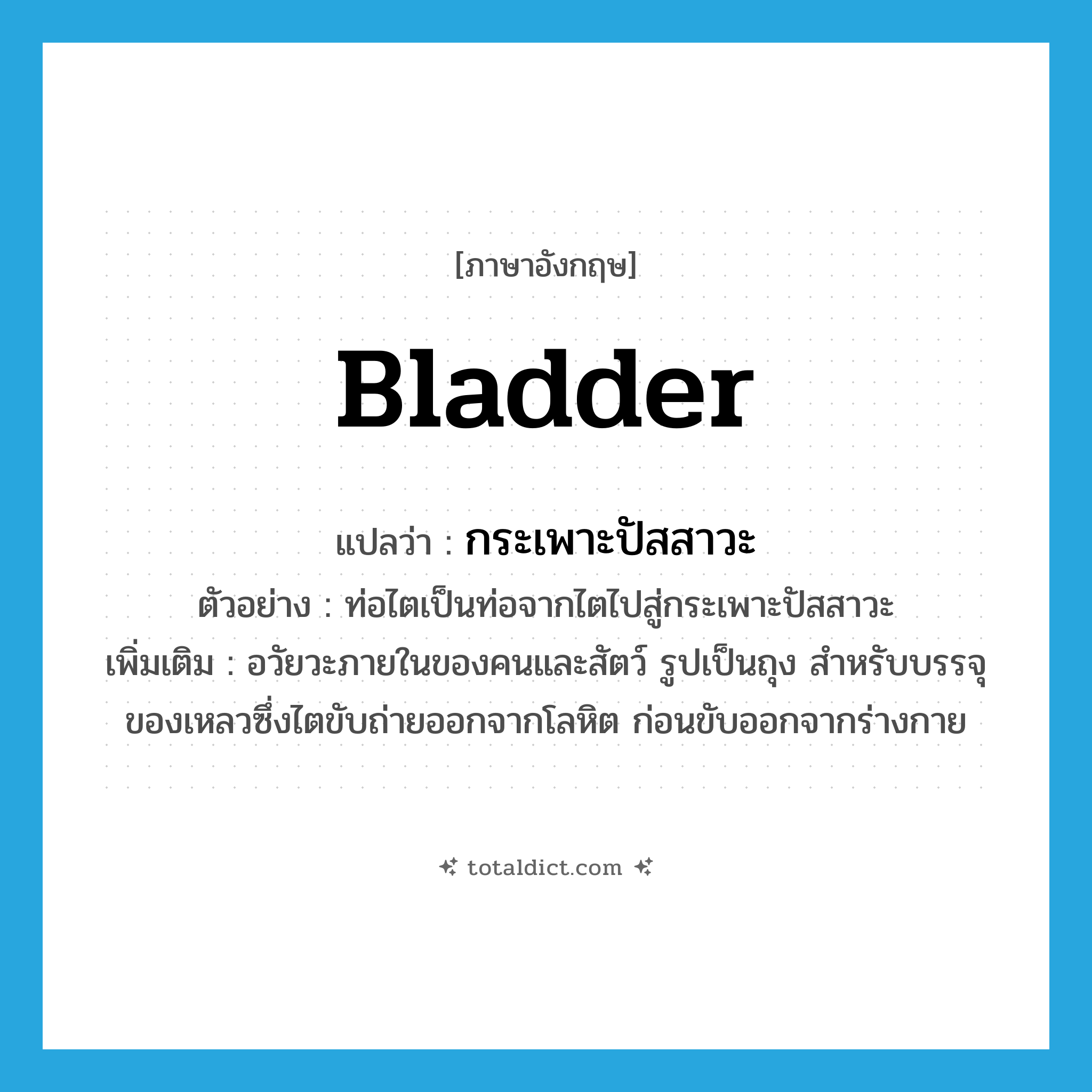 bladder แปลว่า?, คำศัพท์ภาษาอังกฤษ bladder แปลว่า กระเพาะปัสสาวะ ประเภท N ตัวอย่าง ท่อไตเป็นท่อจากไตไปสู่กระเพาะปัสสาวะ เพิ่มเติม อวัยวะภายในของคนและสัตว์ รูปเป็นถุง สำหรับบรรจุของเหลวซึ่งไตขับถ่ายออกจากโลหิต ก่อนขับออกจากร่างกาย หมวด N
