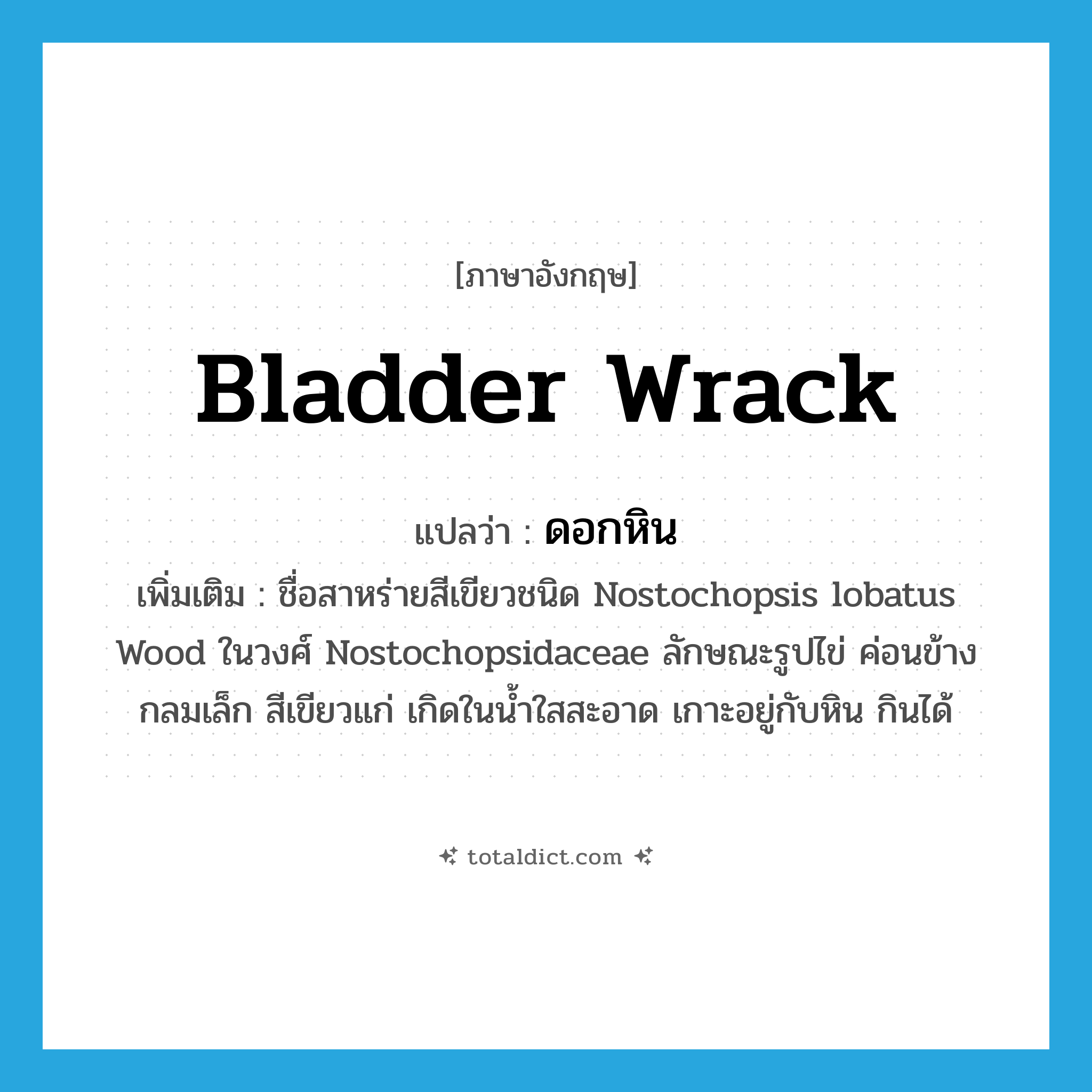 bladder wrack แปลว่า?, คำศัพท์ภาษาอังกฤษ bladder wrack แปลว่า ดอกหิน ประเภท N เพิ่มเติม ชื่อสาหร่ายสีเขียวชนิด Nostochopsis lobatus Wood ในวงศ์ Nostochopsidaceae ลักษณะรูปไข่ ค่อนข้างกลมเล็ก สีเขียวแก่ เกิดในน้ำใสสะอาด เกาะอยู่กับหิน กินได้ หมวด N