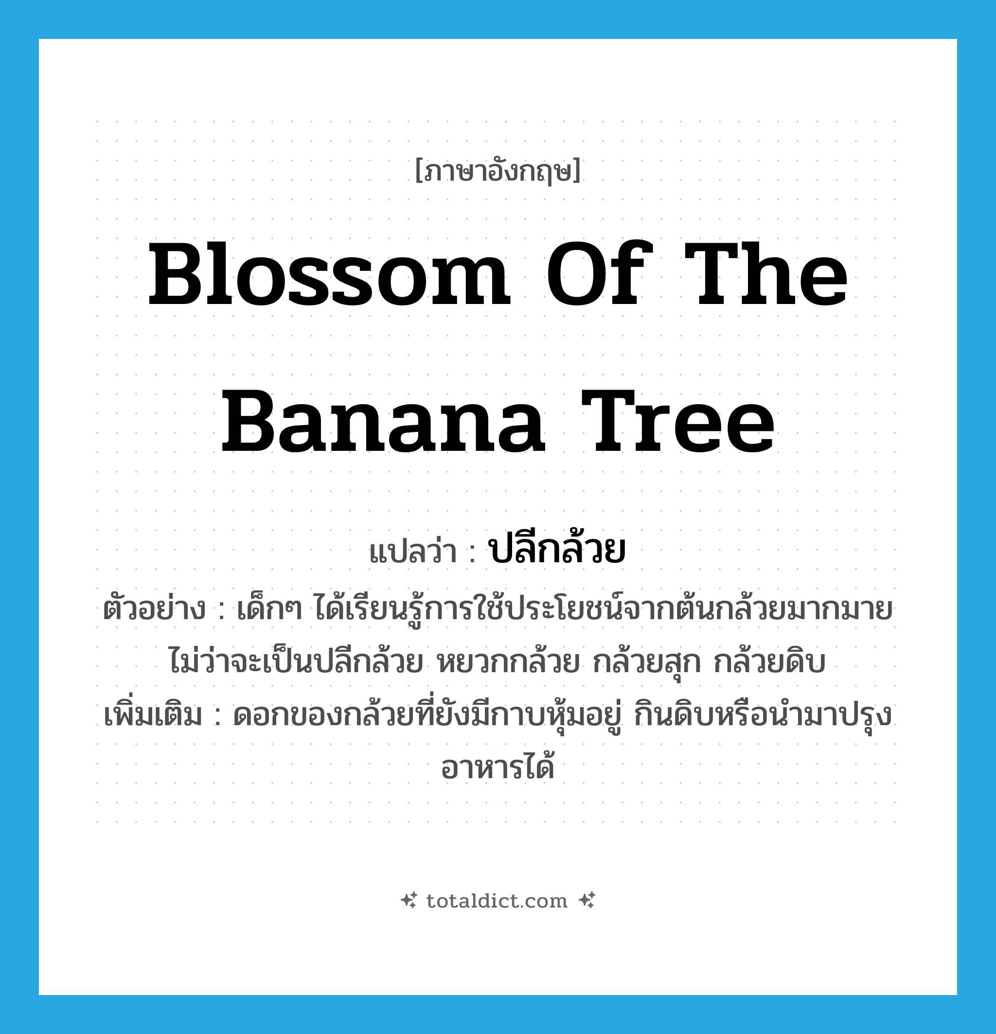 blossom of the banana tree แปลว่า?, คำศัพท์ภาษาอังกฤษ blossom of the banana tree แปลว่า ปลีกล้วย ประเภท N ตัวอย่าง เด็กๆ ได้เรียนรู้การใช้ประโยชน์จากต้นกล้วยมากมาย ไม่ว่าจะเป็นปลีกล้วย หยวกกล้วย กล้วยสุก กล้วยดิบ เพิ่มเติม ดอกของกล้วยที่ยังมีกาบหุ้มอยู่ กินดิบหรือนำมาปรุงอาหารได้ หมวด N