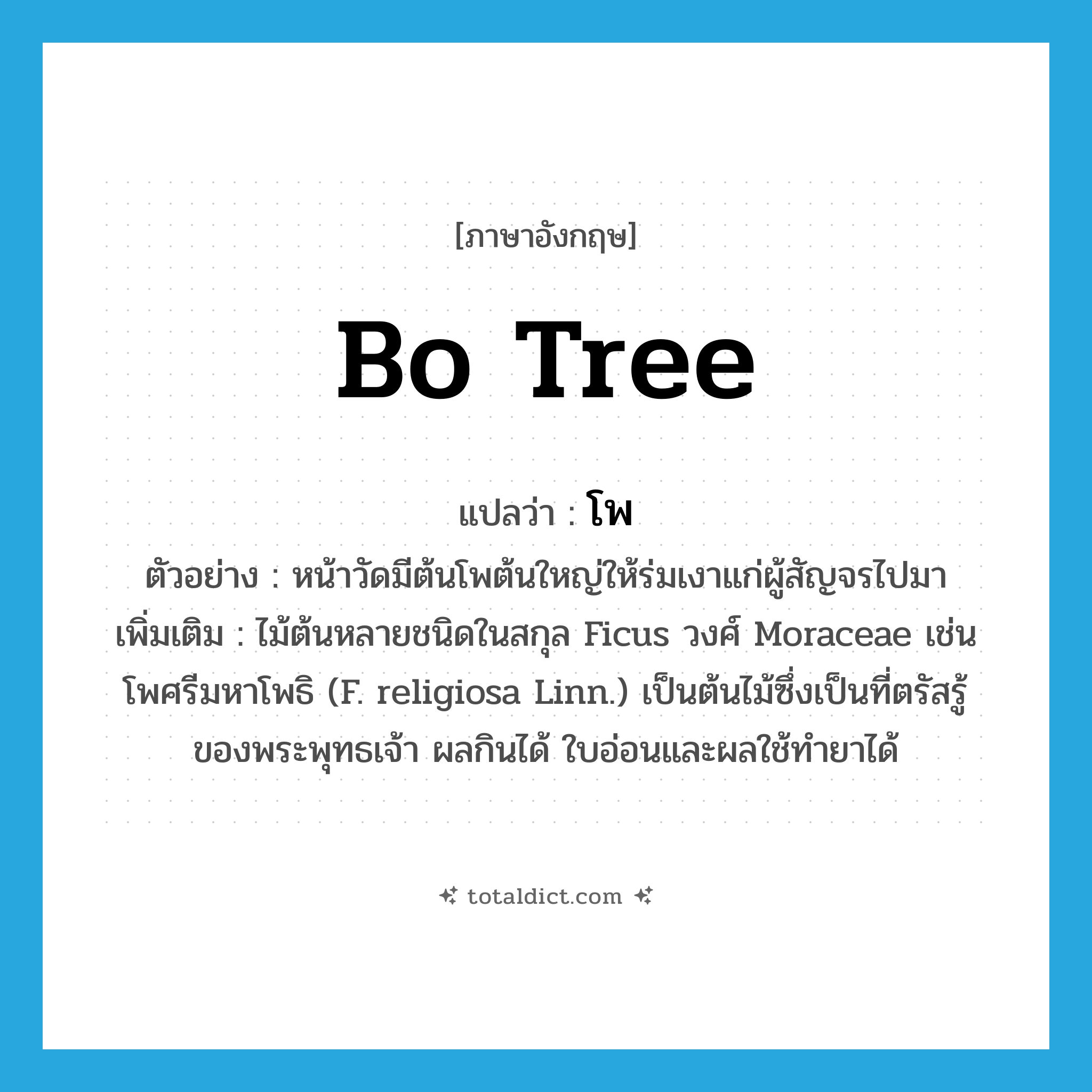 bo tree แปลว่า?, คำศัพท์ภาษาอังกฤษ bo tree แปลว่า โพ ประเภท N ตัวอย่าง หน้าวัดมีต้นโพต้นใหญ่ให้ร่มเงาแก่ผู้สัญจรไปมา เพิ่มเติม ไม้ต้นหลายชนิดในสกุล Ficus วงศ์ Moraceae เช่น โพศรีมหาโพธิ (F. religiosa Linn.) เป็นต้นไม้ซึ่งเป็นที่ตรัสรู้ของพระพุทธเจ้า ผลกินได้ ใบอ่อนและผลใช้ทำยาได้ หมวด N