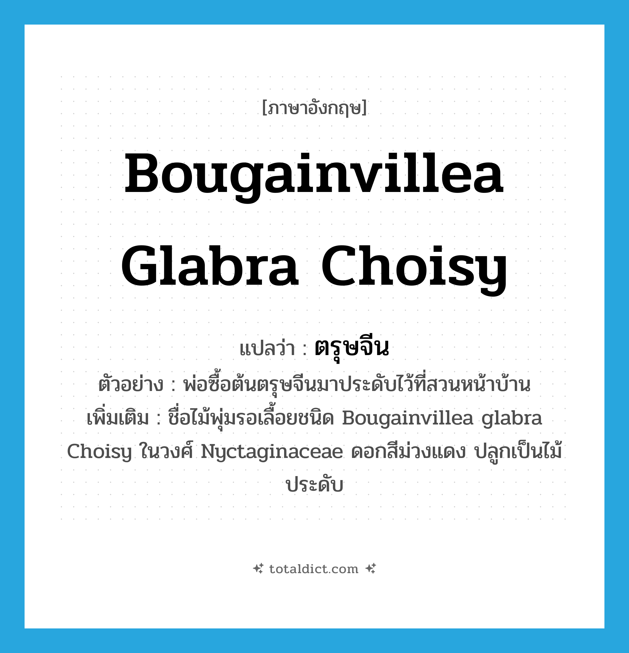 ตรุษจีน ภาษาอังกฤษ?, คำศัพท์ภาษาอังกฤษ ตรุษจีน แปลว่า Bougainvillea glabra Choisy ประเภท N ตัวอย่าง พ่อซื้อต้นตรุษจีนมาประดับไว้ที่สวนหน้าบ้าน เพิ่มเติม ชื่อไม้พุ่มรอเลื้อยชนิด Bougainvillea glabra Choisy ในวงศ์ Nyctaginaceae ดอกสีม่วงแดง ปลูกเป็นไม้ประดับ หมวด N