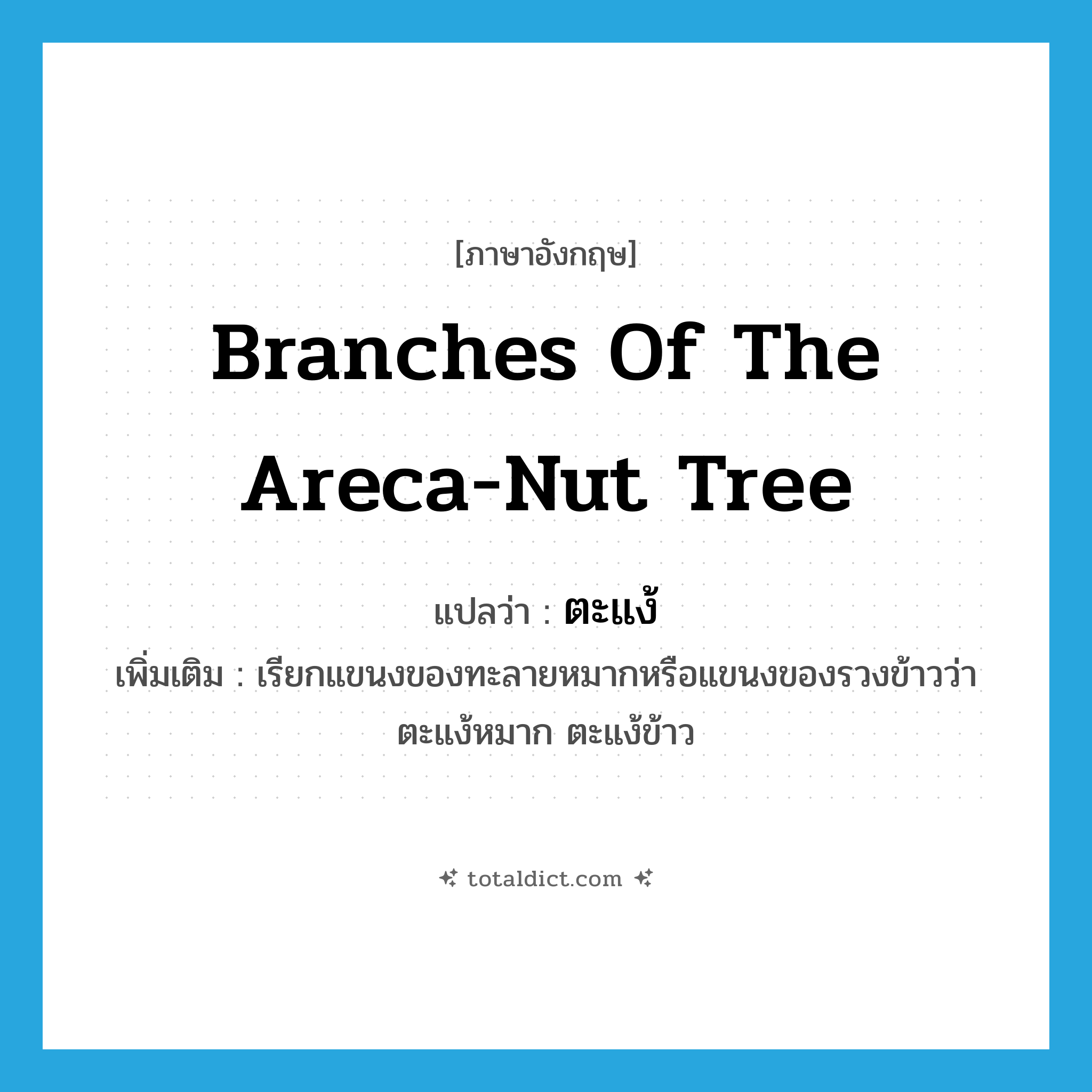 branches of the areca-nut tree แปลว่า?, คำศัพท์ภาษาอังกฤษ branches of the areca-nut tree แปลว่า ตะแง้ ประเภท N เพิ่มเติม เรียกแขนงของทะลายหมากหรือแขนงของรวงข้าวว่า ตะแง้หมาก ตะแง้ข้าว หมวด N