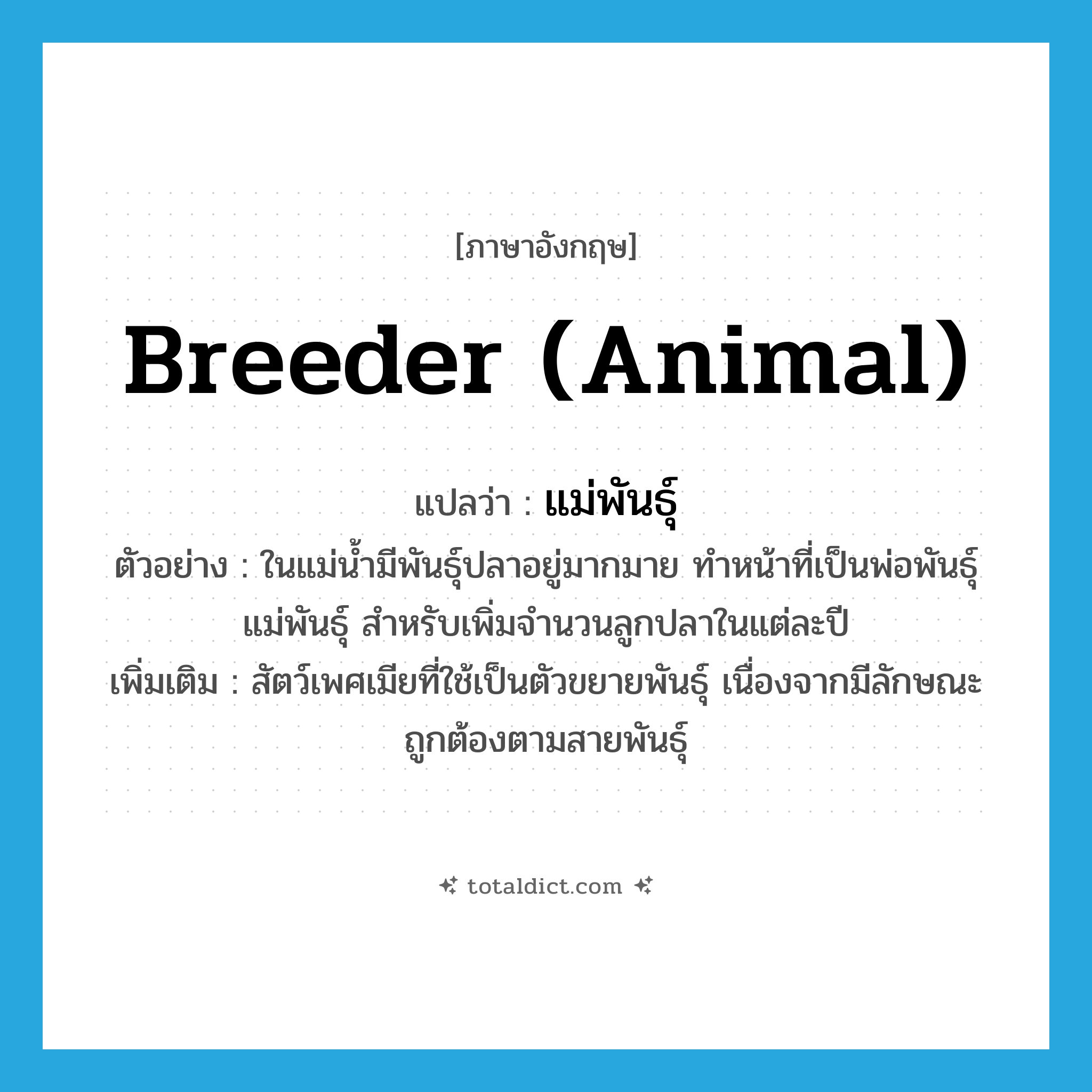 แม่พันธุ์ ภาษาอังกฤษ?, คำศัพท์ภาษาอังกฤษ แม่พันธุ์ แปลว่า breeder (animal) ประเภท N ตัวอย่าง ในแม่น้ำมีพันธุ์ปลาอยู่มากมาย ทำหน้าที่เป็นพ่อพันธุ์แม่พันธุ์ สำหรับเพิ่มจำนวนลูกปลาในแต่ละปี เพิ่มเติม สัตว์เพศเมียที่ใช้เป็นตัวขยายพันธุ์ เนื่องจากมีลักษณะถูกต้องตามสายพันธุ์ หมวด N