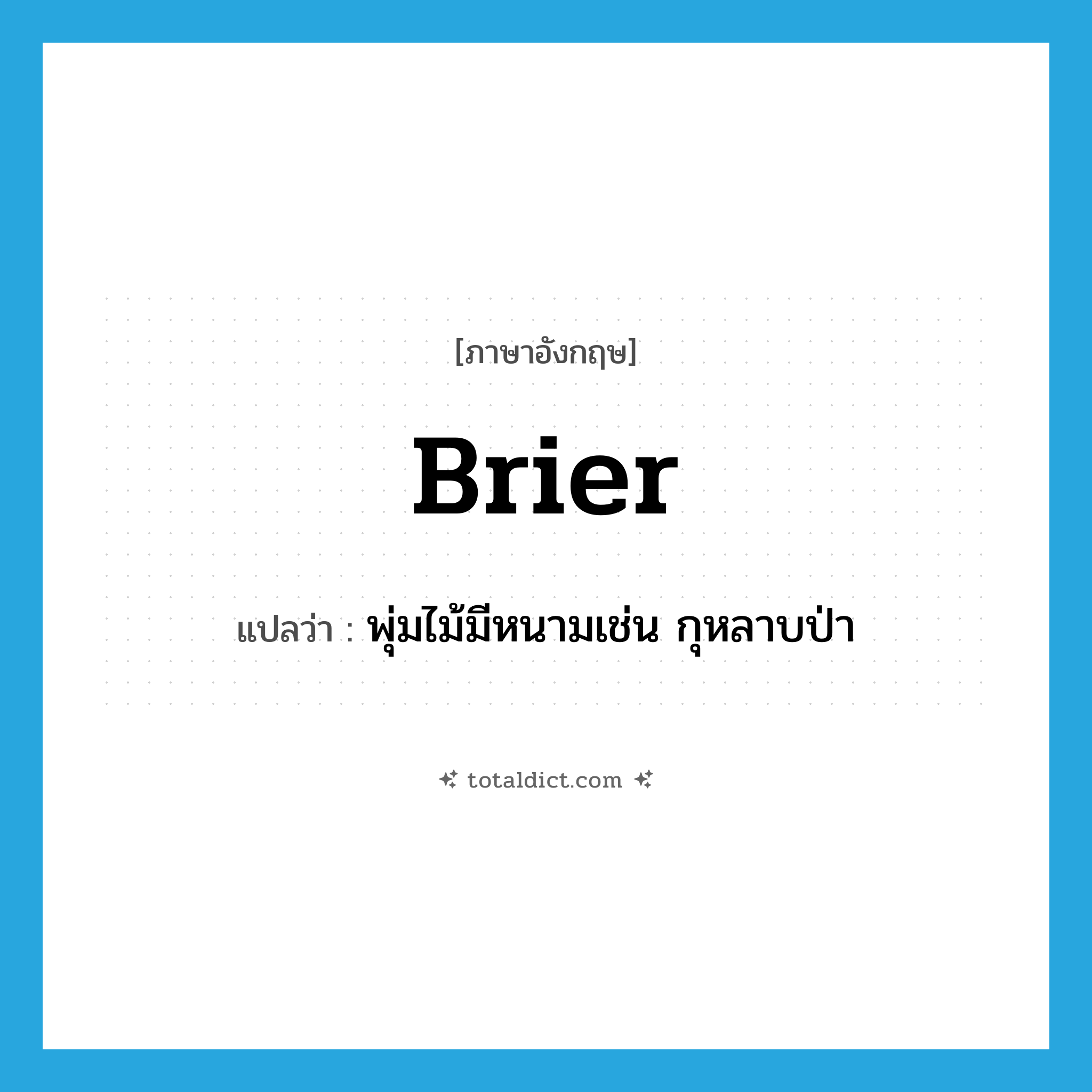 brier แปลว่า?, คำศัพท์ภาษาอังกฤษ brier แปลว่า พุ่มไม้มีหนามเช่น กุหลาบป่า ประเภท N หมวด N