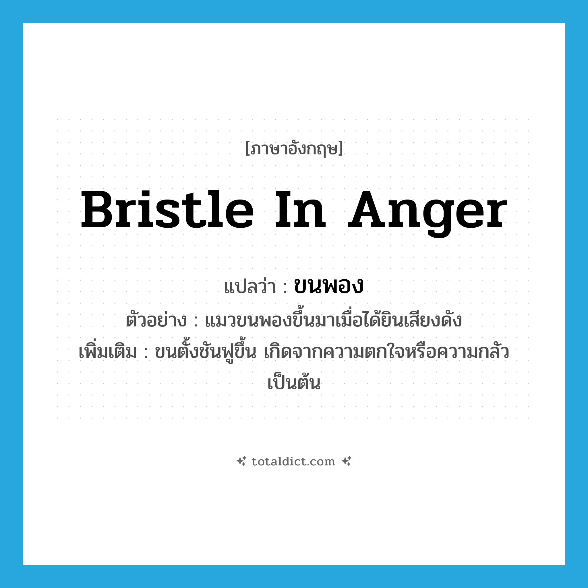 bristle in anger แปลว่า?, คำศัพท์ภาษาอังกฤษ bristle in anger แปลว่า ขนพอง ประเภท V ตัวอย่าง แมวขนพองขึ้นมาเมื่อได้ยินเสียงดัง เพิ่มเติม ขนตั้งชันฟูขึ้น เกิดจากความตกใจหรือความกลัวเป็นต้น หมวด V