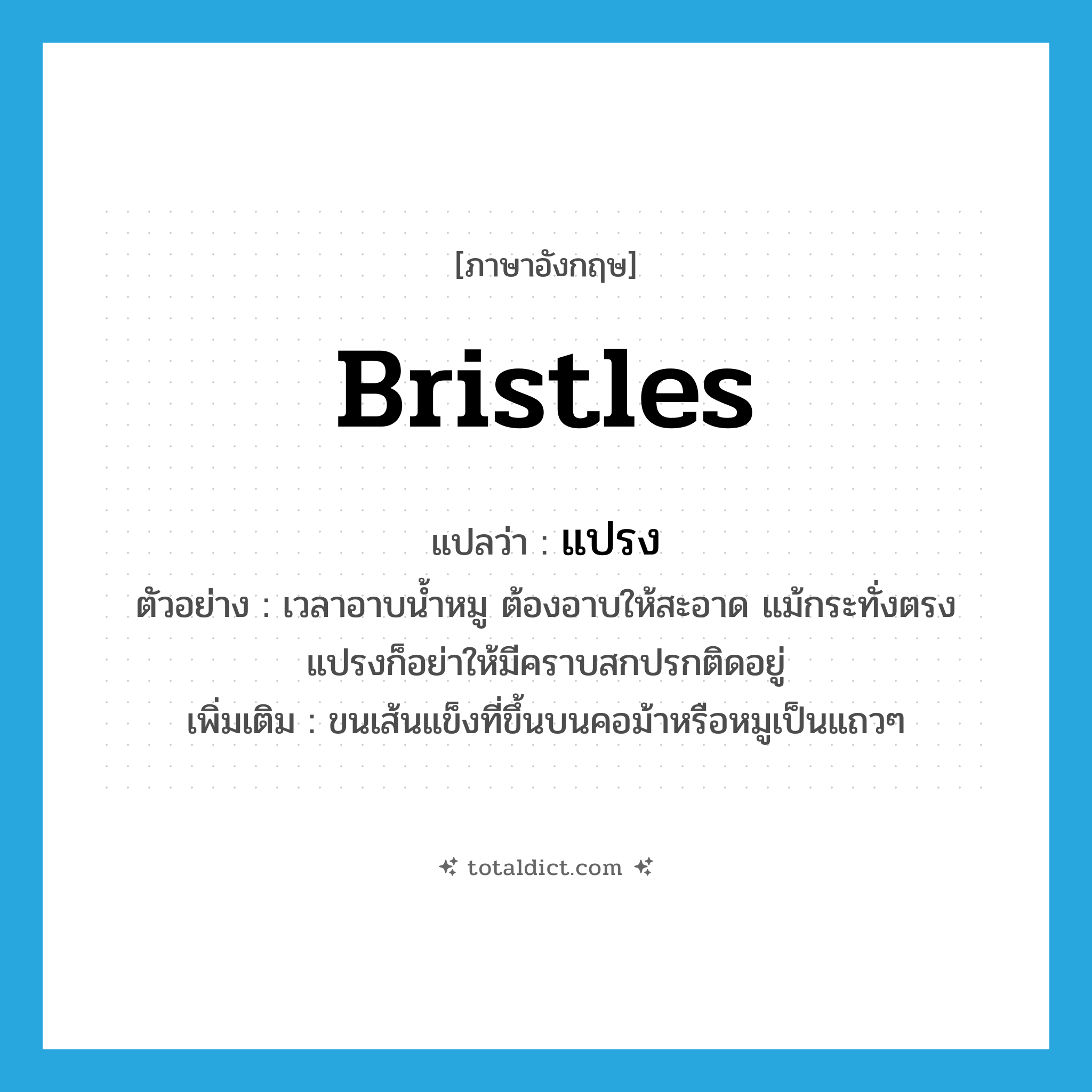 bristles แปลว่า?, คำศัพท์ภาษาอังกฤษ bristles แปลว่า แปรง ประเภท N ตัวอย่าง เวลาอาบน้ำหมู ต้องอาบให้สะอาด แม้กระทั่งตรงแปรงก็อย่าให้มีคราบสกปรกติดอยู่ เพิ่มเติม ขนเส้นแข็งที่ขึ้นบนคอม้าหรือหมูเป็นแถวๆ หมวด N