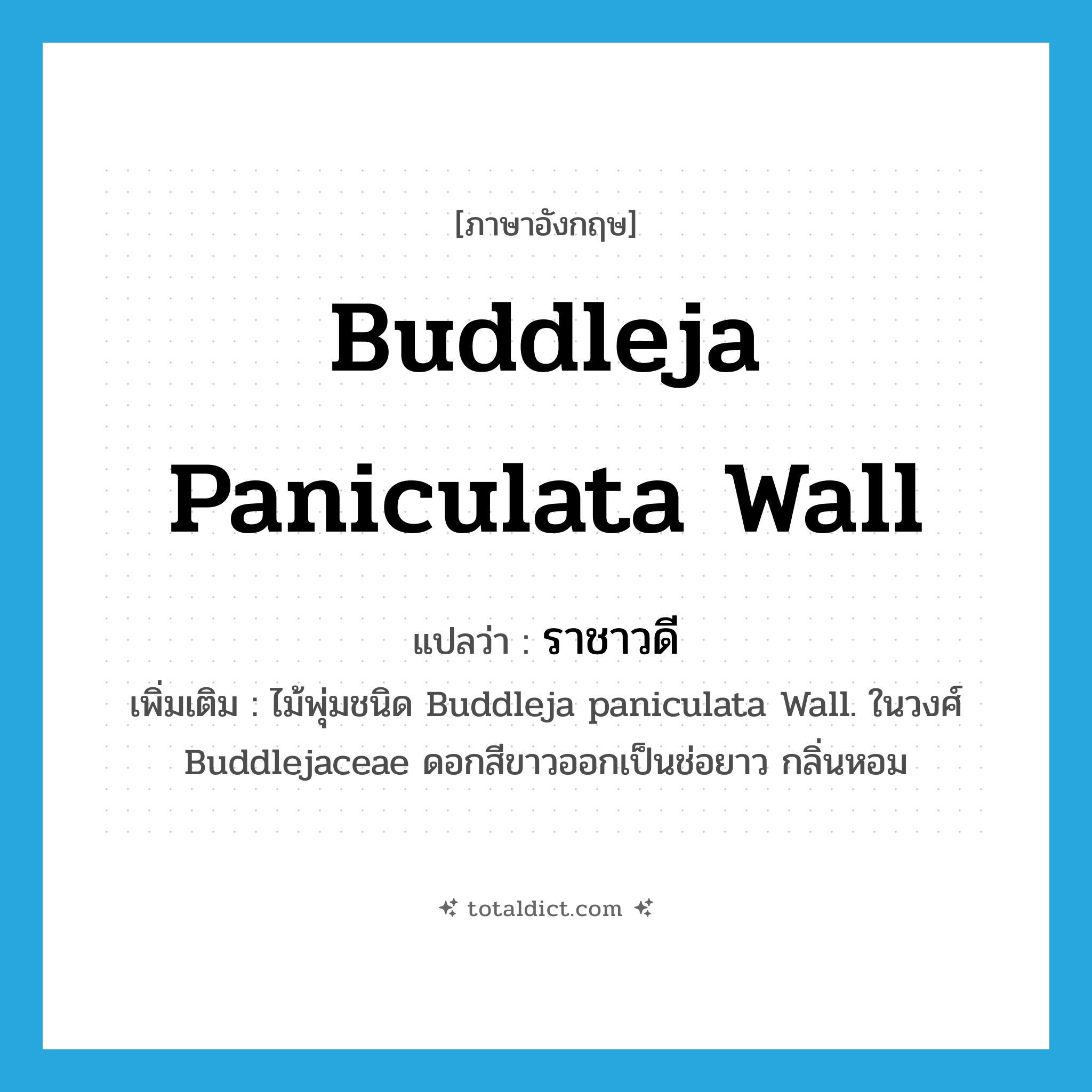 Buddleja paniculata Wall แปลว่า?, คำศัพท์ภาษาอังกฤษ Buddleja paniculata Wall แปลว่า ราชาวดี ประเภท N เพิ่มเติม ไม้พุ่มชนิด Buddleja paniculata Wall. ในวงศ์ Buddlejaceae ดอกสีขาวออกเป็นช่อยาว กลิ่นหอม หมวด N