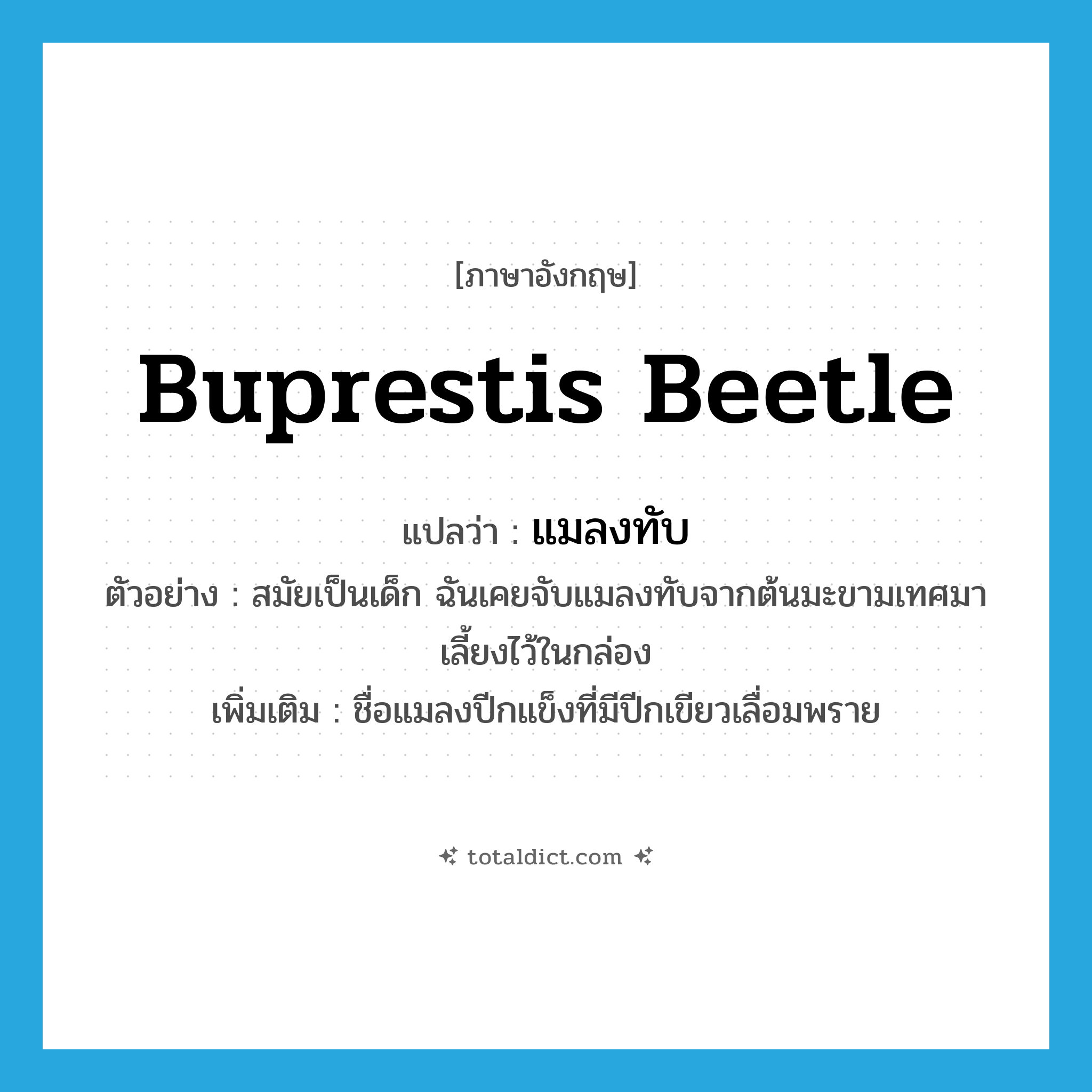 Buprestis beetle แปลว่า?, คำศัพท์ภาษาอังกฤษ Buprestis beetle แปลว่า แมลงทับ ประเภท N ตัวอย่าง สมัยเป็นเด็ก ฉันเคยจับแมลงทับจากต้นมะขามเทศมาเลี้ยงไว้ในกล่อง เพิ่มเติม ชื่อแมลงปีกแข็งที่มีปีกเขียวเลื่อมพราย หมวด N