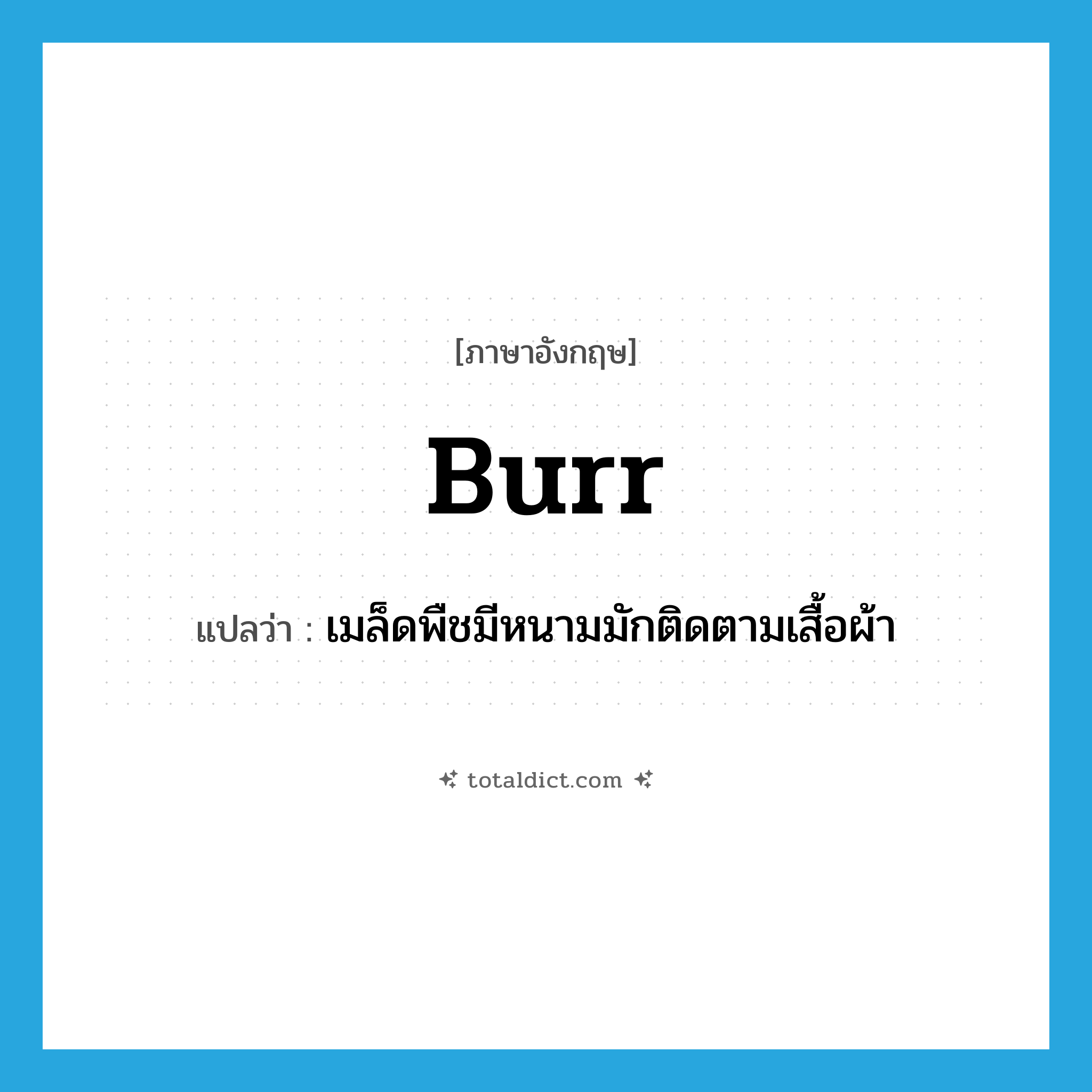 burr แปลว่า?, คำศัพท์ภาษาอังกฤษ burr แปลว่า เมล็ดพืชมีหนามมักติดตามเสื้อผ้า ประเภท N หมวด N