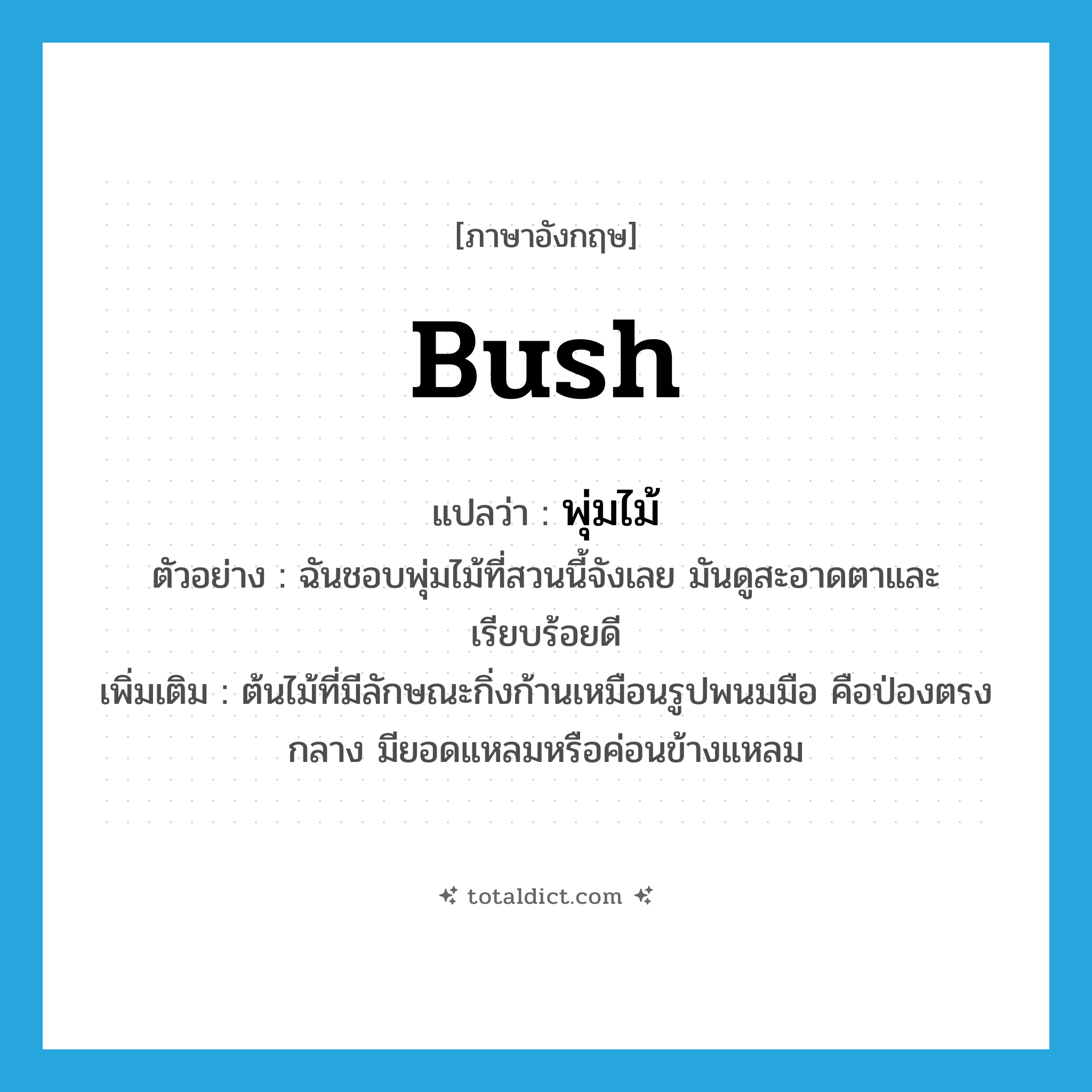 bush แปลว่า?, คำศัพท์ภาษาอังกฤษ bush แปลว่า พุ่มไม้ ประเภท N ตัวอย่าง ฉันชอบพุ่มไม้ที่สวนนี้จังเลย มันดูสะอาดตาและเรียบร้อยดี เพิ่มเติม ต้นไม้ที่มีลักษณะกิ่งก้านเหมือนรูปพนมมือ คือป่องตรงกลาง มียอดแหลมหรือค่อนข้างแหลม หมวด N