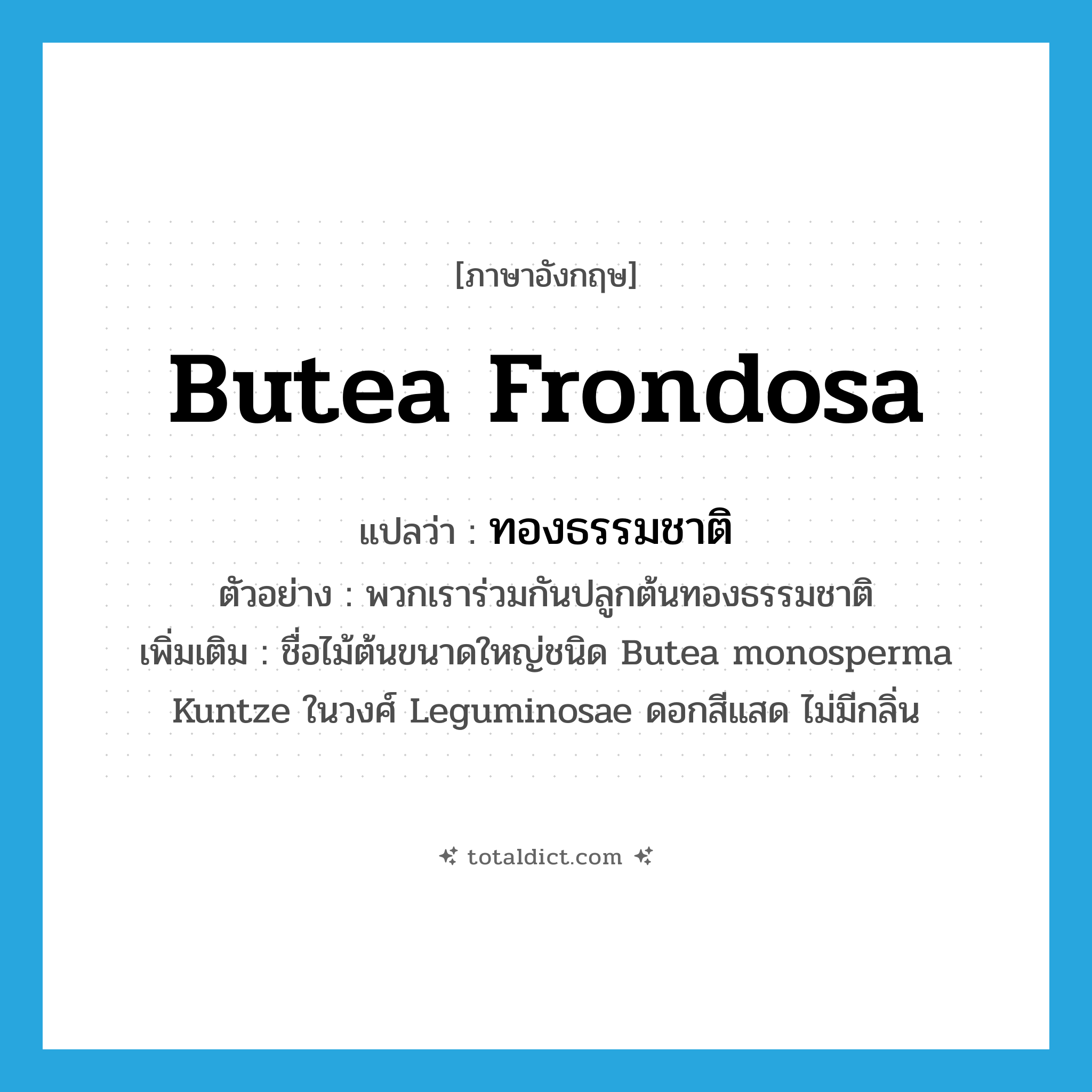 Butea frondosa แปลว่า?, คำศัพท์ภาษาอังกฤษ Butea frondosa แปลว่า ทองธรรมชาติ ประเภท N ตัวอย่าง พวกเราร่วมกันปลูกต้นทองธรรมชาติ เพิ่มเติม ชื่อไม้ต้นขนาดใหญ่ชนิด Butea monosperma Kuntze ในวงศ์ Leguminosae ดอกสีแสด ไม่มีกลิ่น หมวด N