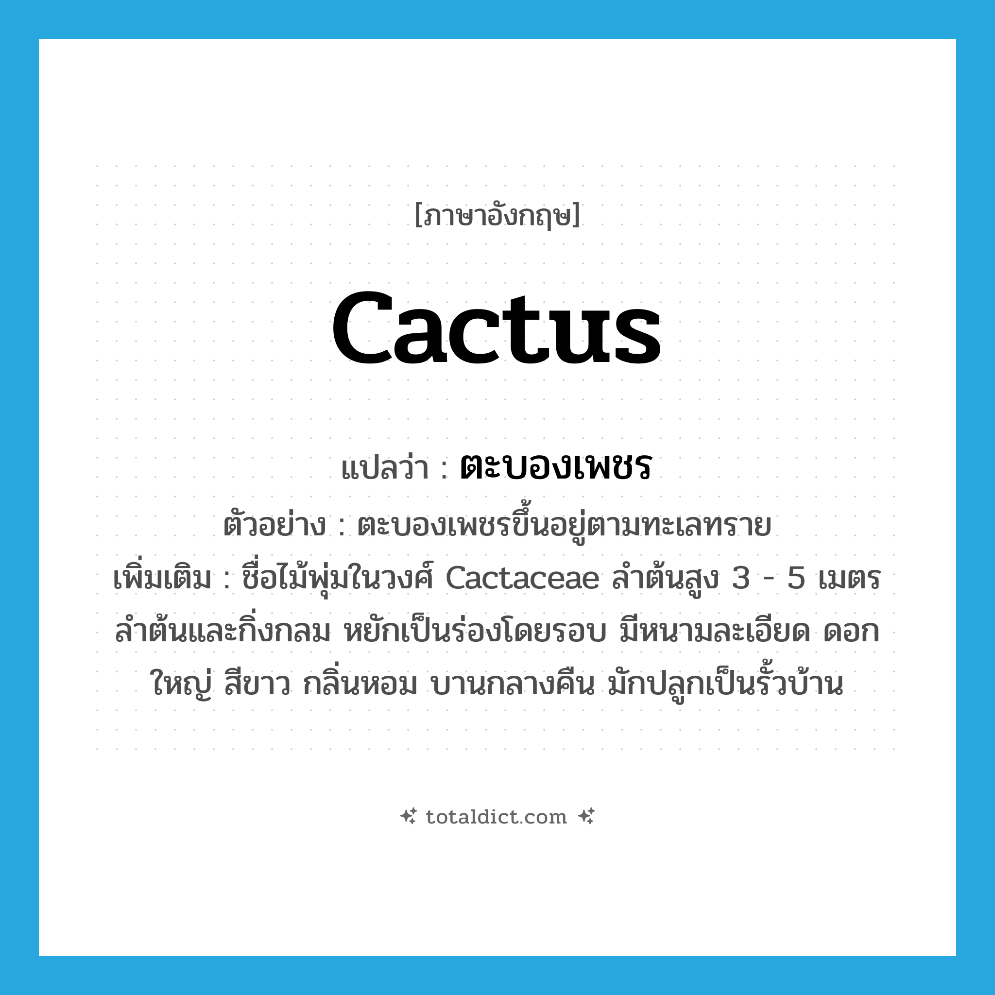 cactus แปลว่า?, คำศัพท์ภาษาอังกฤษ cactus แปลว่า ตะบองเพชร ประเภท N ตัวอย่าง ตะบองเพชรขึ้นอยู่ตามทะเลทราย เพิ่มเติม ชื่อไม้พุ่มในวงศ์ Cactaceae ลำต้นสูง 3 - 5 เมตร ลำต้นและกิ่งกลม หยักเป็นร่องโดยรอบ มีหนามละเอียด ดอกใหญ่ สีขาว กลิ่นหอม บานกลางคืน มักปลูกเป็นรั้วบ้าน หมวด N