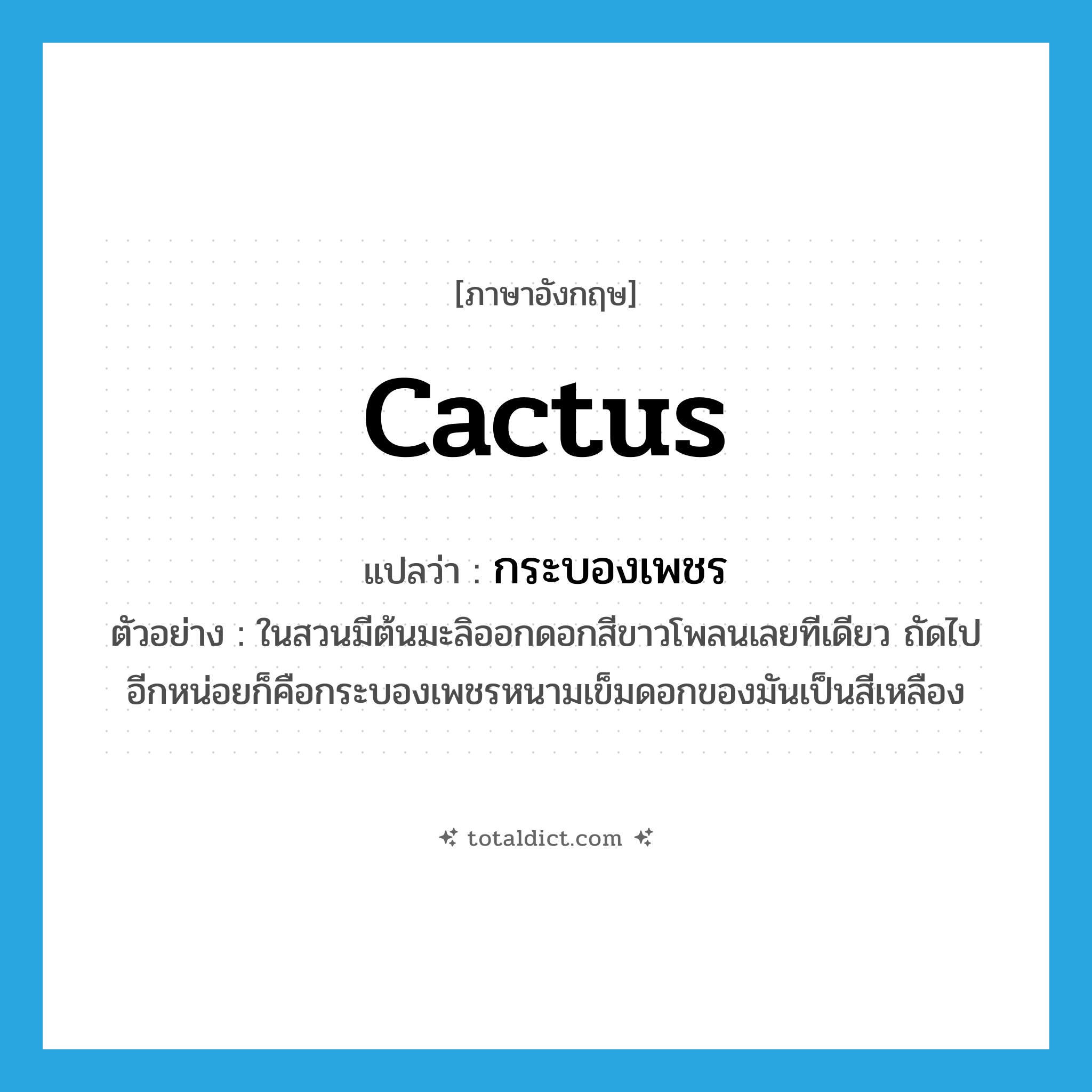 cactus แปลว่า?, คำศัพท์ภาษาอังกฤษ cactus แปลว่า กระบองเพชร ประเภท N ตัวอย่าง ในสวนมีต้นมะลิออกดอกสีขาวโพลนเลยทีเดียว ถัดไปอีกหน่อยก็คือกระบองเพชรหนามเข็มดอกของมันเป็นสีเหลือง หมวด N
