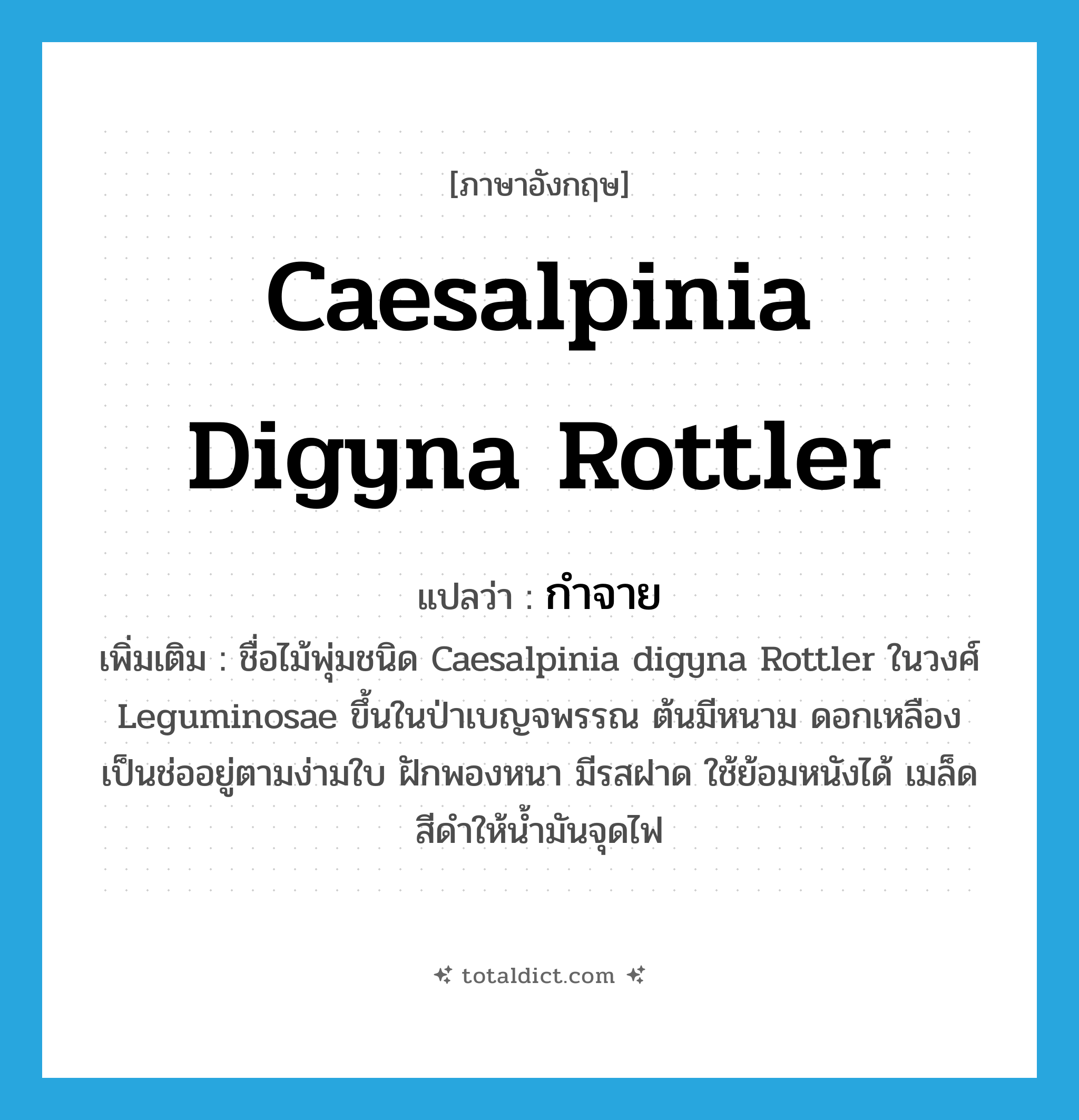 กำจาย ภาษาอังกฤษ?, คำศัพท์ภาษาอังกฤษ กำจาย แปลว่า Caesalpinia digyna Rottler ประเภท N เพิ่มเติม ชื่อไม้พุ่มชนิด Caesalpinia digyna Rottler ในวงศ์ Leguminosae ขึ้นในป่าเบญจพรรณ ต้นมีหนาม ดอกเหลืองเป็นช่ออยู่ตามง่ามใบ ฝักพองหนา มีรสฝาด ใช้ย้อมหนังได้ เมล็ดสีดำให้น้ำมันจุดไฟ หมวด N