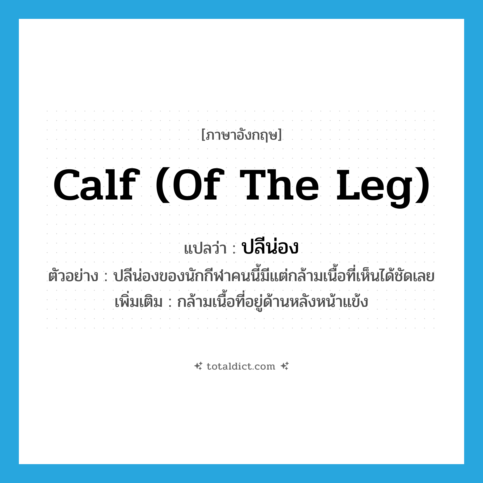 calf (of the leg) แปลว่า?, คำศัพท์ภาษาอังกฤษ calf (of the leg) แปลว่า ปลีน่อง ประเภท N ตัวอย่าง ปลีน่องของนักกีฬาคนนี้มีแต่กล้ามเนื้อที่เห็นได้ชัดเลย เพิ่มเติม กล้ามเนื้อที่อยู่ด้านหลังหน้าแข้ง หมวด N