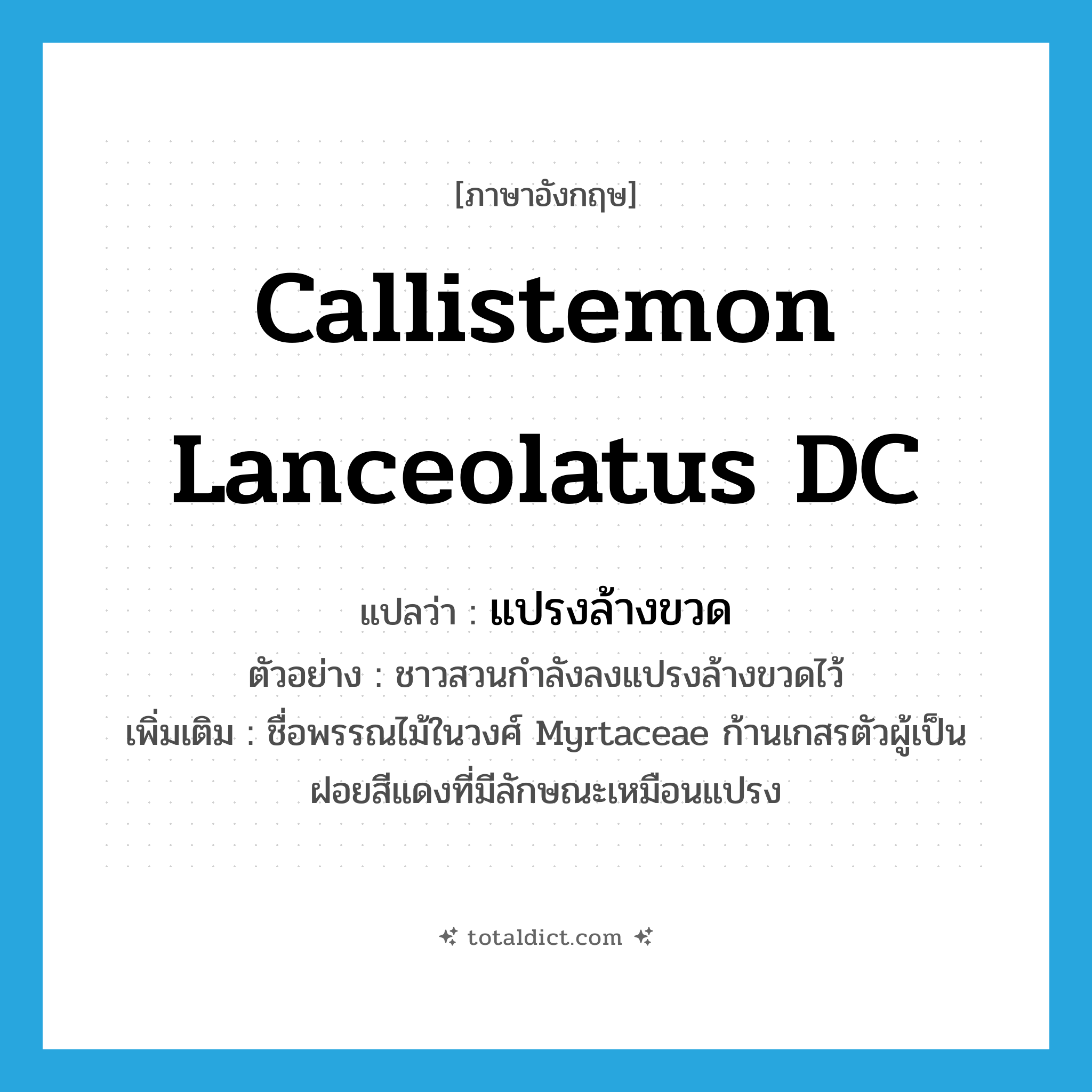 callistemon lanceolatus DC แปลว่า?, คำศัพท์ภาษาอังกฤษ callistemon lanceolatus DC แปลว่า แปรงล้างขวด ประเภท N ตัวอย่าง ชาวสวนกำลังลงแปรงล้างขวดไว้ เพิ่มเติม ชื่อพรรณไม้ในวงศ์ Myrtaceae ก้านเกสรตัวผู้เป็นฝอยสีแดงที่มีลักษณะเหมือนแปรง หมวด N