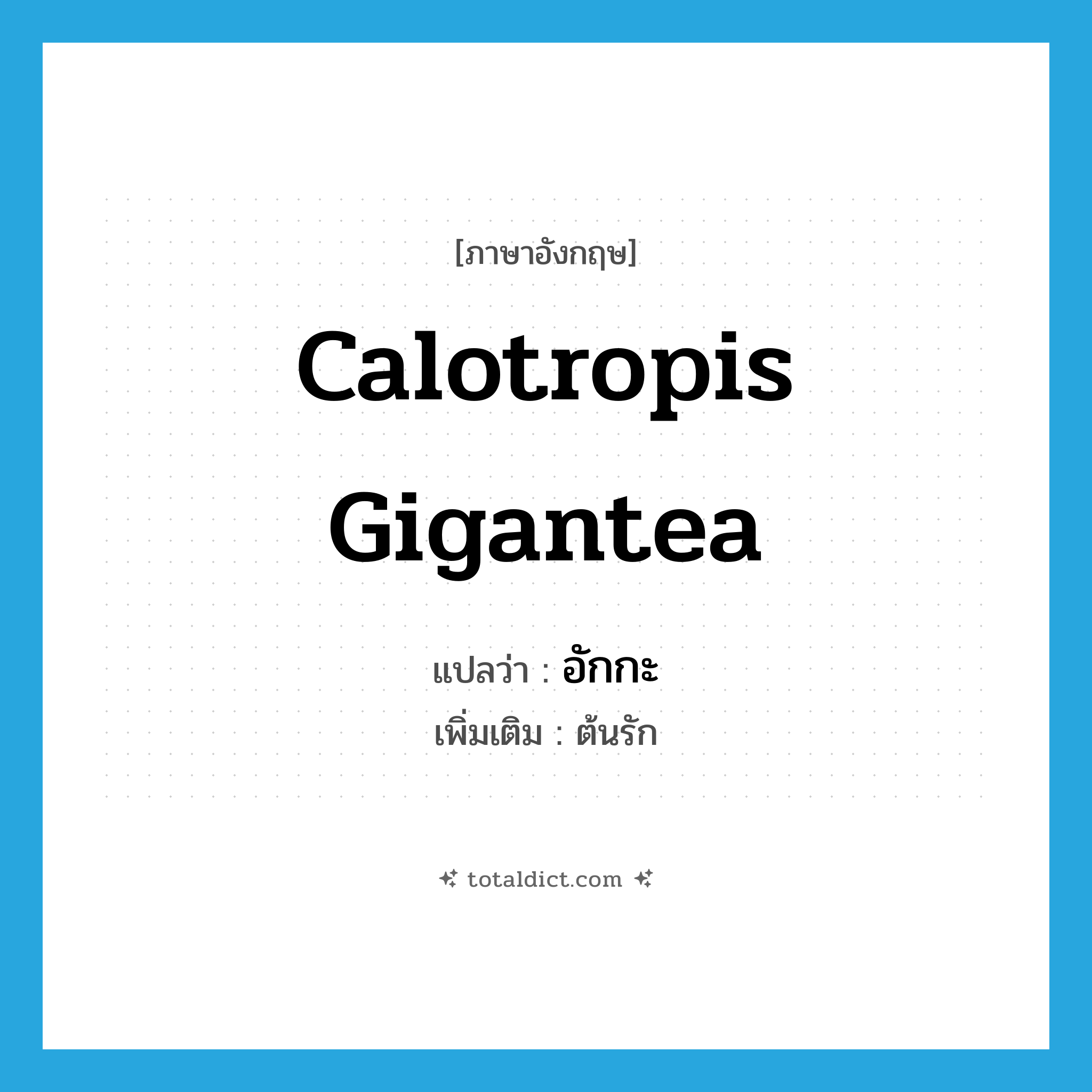 Calotropis gigantea แปลว่า?, คำศัพท์ภาษาอังกฤษ Calotropis gigantea แปลว่า อักกะ ประเภท N เพิ่มเติม ต้นรัก หมวด N