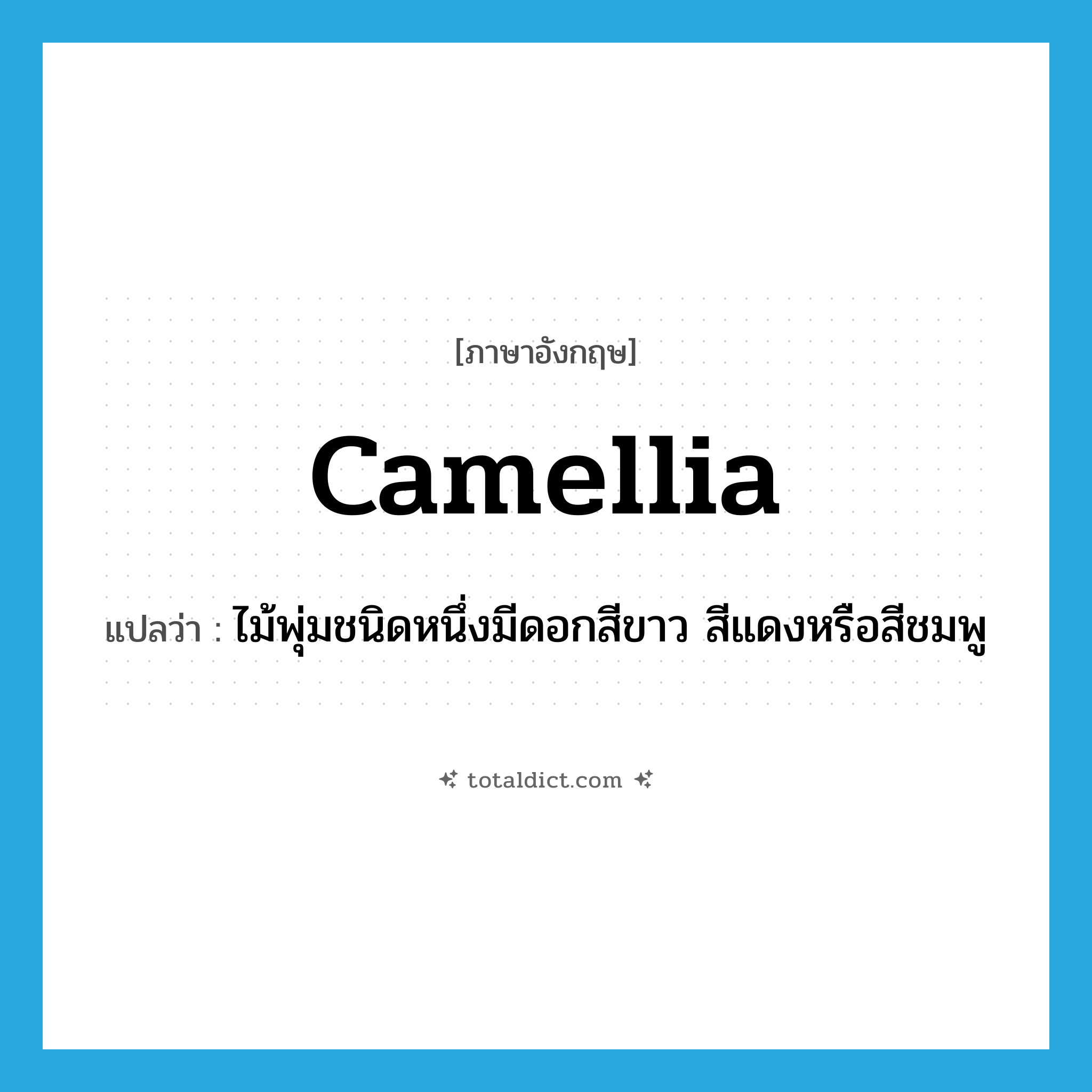 camellia แปลว่า?, คำศัพท์ภาษาอังกฤษ camellia แปลว่า ไม้พุ่มชนิดหนึ่งมีดอกสีขาว สีแดงหรือสีชมพู ประเภท N หมวด N