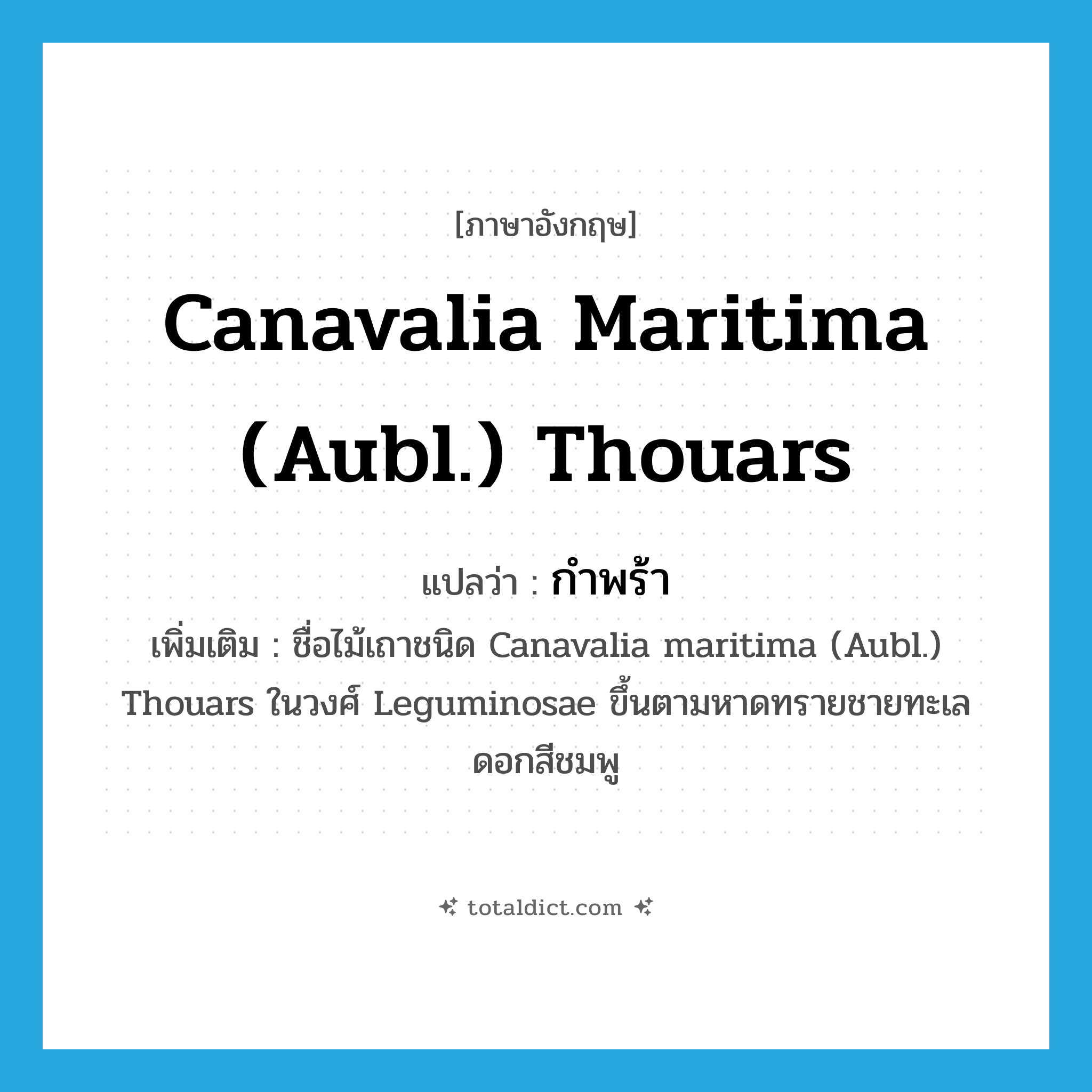 Canavalia maritima (Aubl.) Thouars แปลว่า?, คำศัพท์ภาษาอังกฤษ Canavalia maritima (Aubl.) Thouars แปลว่า กำพร้า ประเภท N เพิ่มเติม ชื่อไม้เถาชนิด Canavalia maritima (Aubl.) Thouars ในวงศ์ Leguminosae ขึ้นตามหาดทรายชายทะเล ดอกสีชมพู หมวด N