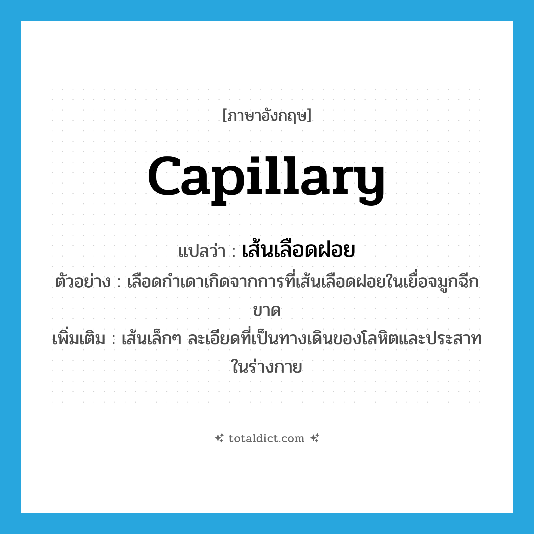 capillary แปลว่า?, คำศัพท์ภาษาอังกฤษ capillary แปลว่า เส้นเลือดฝอย ประเภท N ตัวอย่าง เลือดกำเดาเกิดจากการที่เส้นเลือดฝอยในเยื่อจมูกฉีกขาด เพิ่มเติม เส้นเล็กๆ ละเอียดที่เป็นทางเดินของโลหิตและประสาทในร่างกาย หมวด N