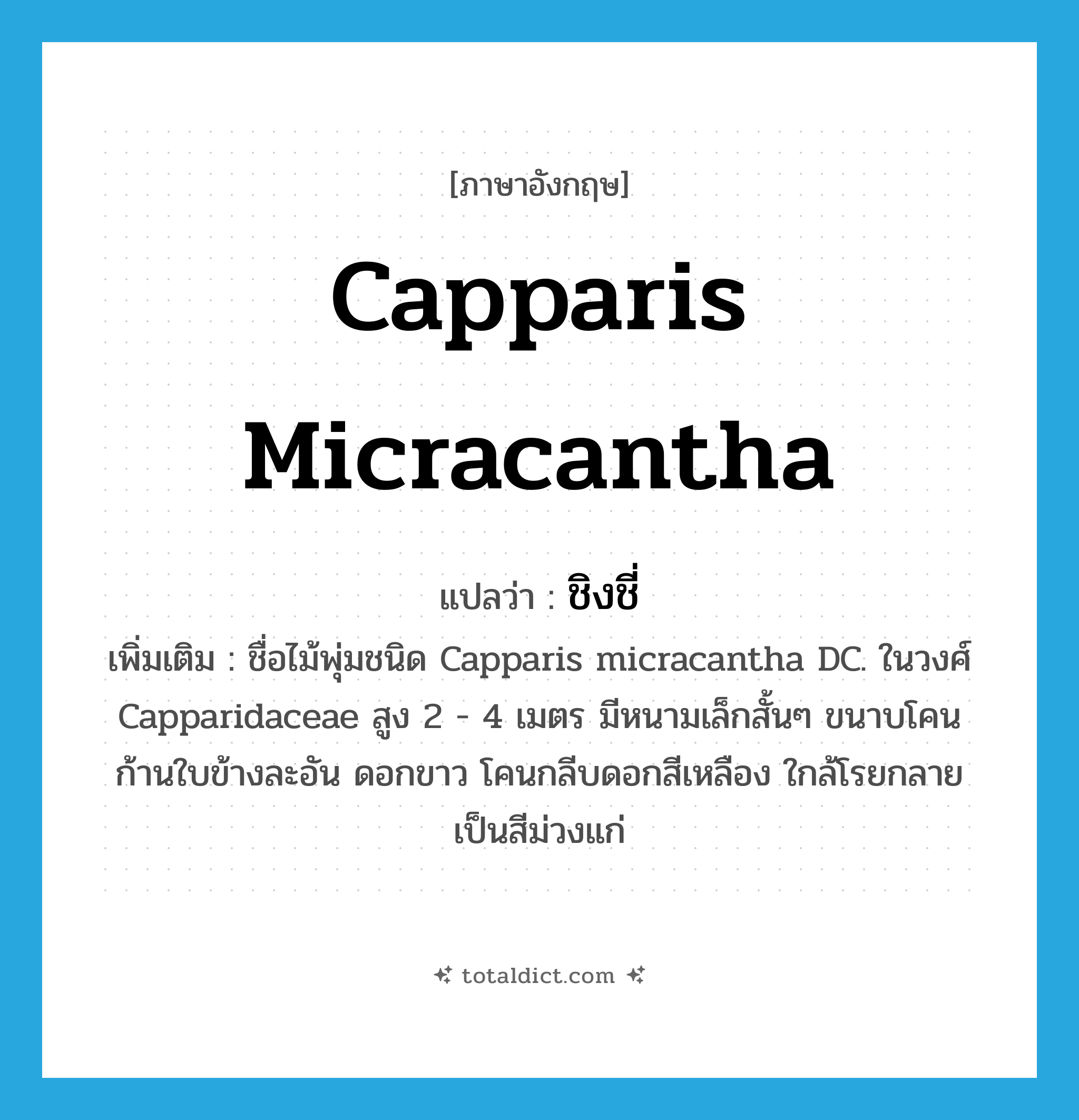 Capparis micracantha แปลว่า?, คำศัพท์ภาษาอังกฤษ Capparis micracantha แปลว่า ชิงชี่ ประเภท N เพิ่มเติม ชื่อไม้พุ่มชนิด Capparis micracantha DC. ในวงศ์ Capparidaceae สูง 2 - 4 เมตร มีหนามเล็กสั้นๆ ขนาบโคนก้านใบข้างละอัน ดอกขาว โคนกลีบดอกสีเหลือง ใกล้โรยกลายเป็นสีม่วงแก่ หมวด N