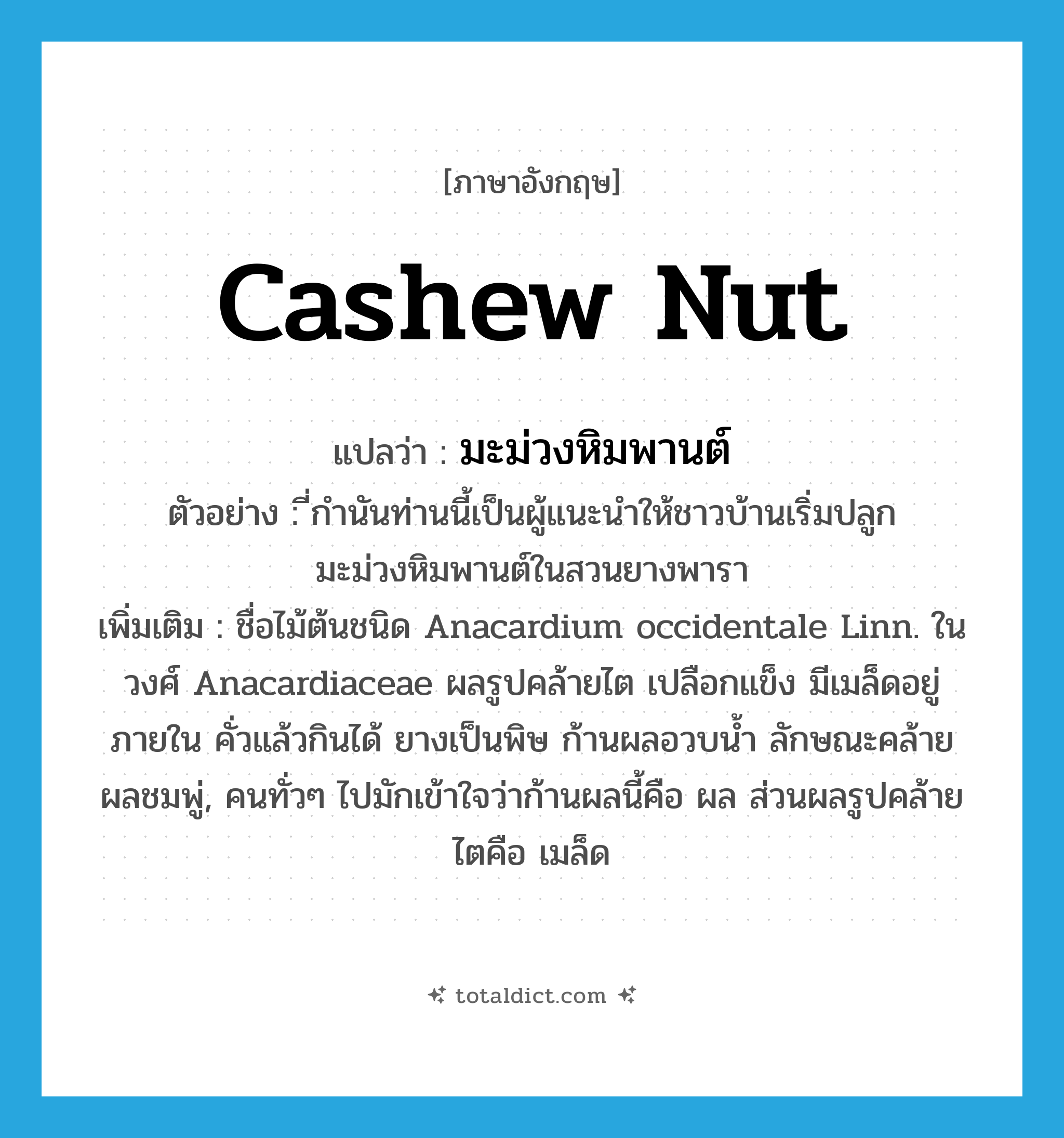 cashew nut แปลว่า?, คำศัพท์ภาษาอังกฤษ cashew nut แปลว่า มะม่วงหิมพานต์ ประเภท N ตัวอย่าง ี่กำนันท่านนี้เป็นผู้แนะนำให้ชาวบ้านเริ่มปลูกมะม่วงหิมพานต์ในสวนยางพารา เพิ่มเติม ชื่อไม้ต้นชนิด Anacardium occidentale Linn. ในวงศ์ Anacardiaceae ผลรูปคล้ายไต เปลือกแข็ง มีเมล็ดอยู่ภายใน คั่วแล้วกินได้ ยางเป็นพิษ ก้านผลอวบน้ำ ลักษณะคล้ายผลชมพู่, คนทั่วๆ ไปมักเข้าใจว่าก้านผลนี้คือ ผล ส่วนผลรูปคล้ายไตคือ เมล็ด หมวด N