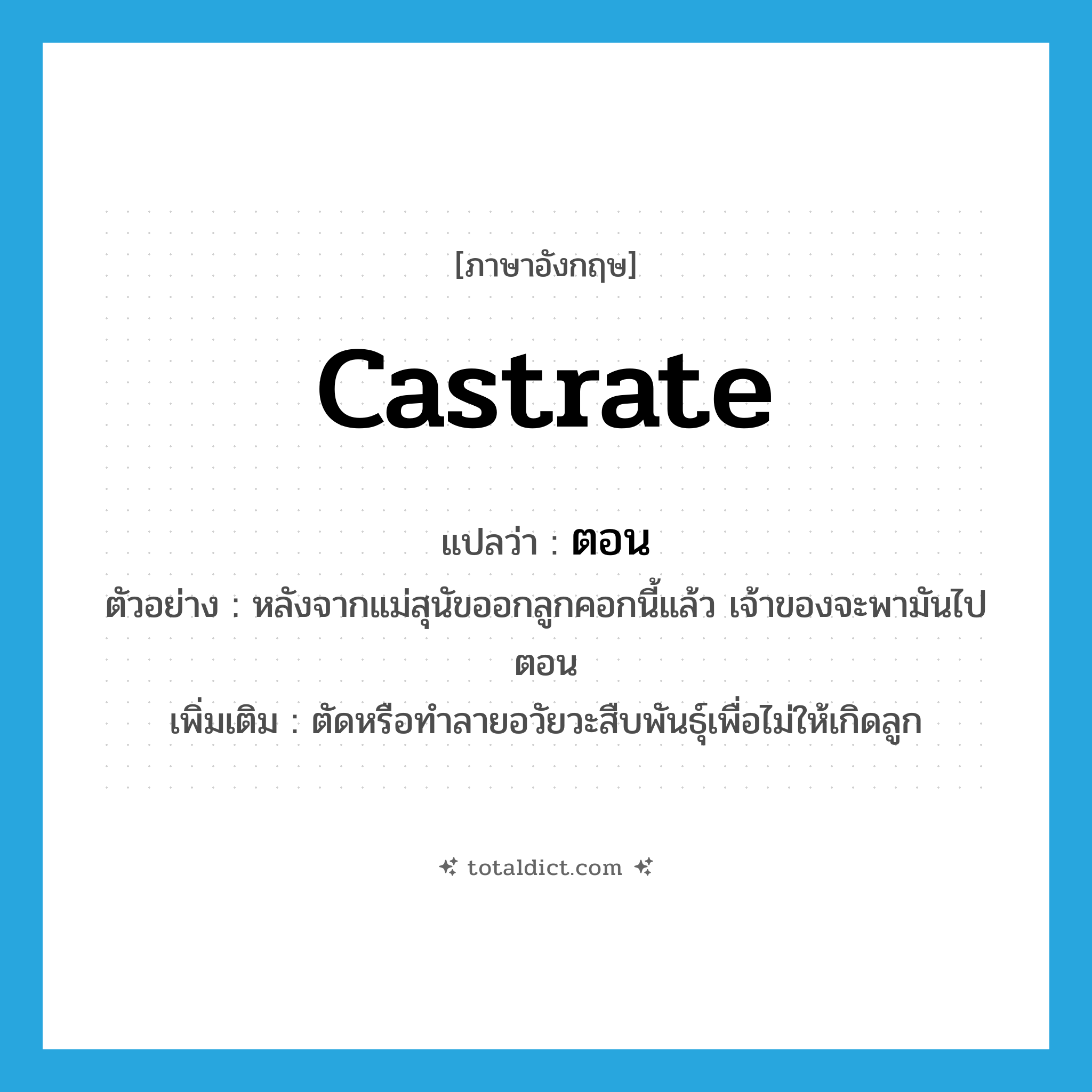 castrate แปลว่า?, คำศัพท์ภาษาอังกฤษ castrate แปลว่า ตอน ประเภท V ตัวอย่าง หลังจากแม่สุนัขออกลูกคอกนี้แล้ว เจ้าของจะพามันไปตอน เพิ่มเติม ตัดหรือทำลายอวัยวะสืบพันธุ์เพื่อไม่ให้เกิดลูก หมวด V
