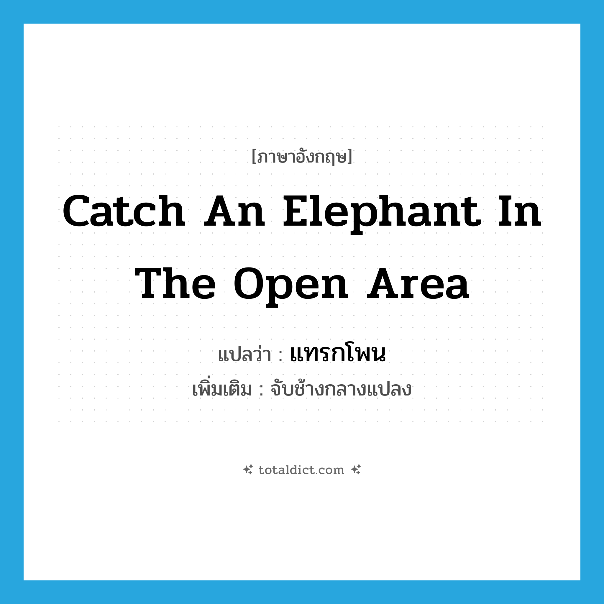 catch an elephant in the open area แปลว่า?, คำศัพท์ภาษาอังกฤษ catch an elephant in the open area แปลว่า แทรกโพน ประเภท V เพิ่มเติม จับช้างกลางแปลง หมวด V