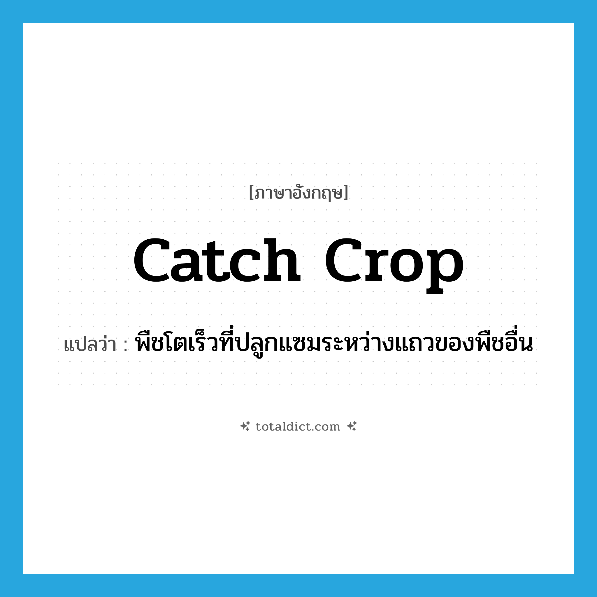 catch crop แปลว่า?, คำศัพท์ภาษาอังกฤษ catch crop แปลว่า พืชโตเร็วที่ปลูกแซมระหว่างแถวของพืชอื่น ประเภท N หมวด N