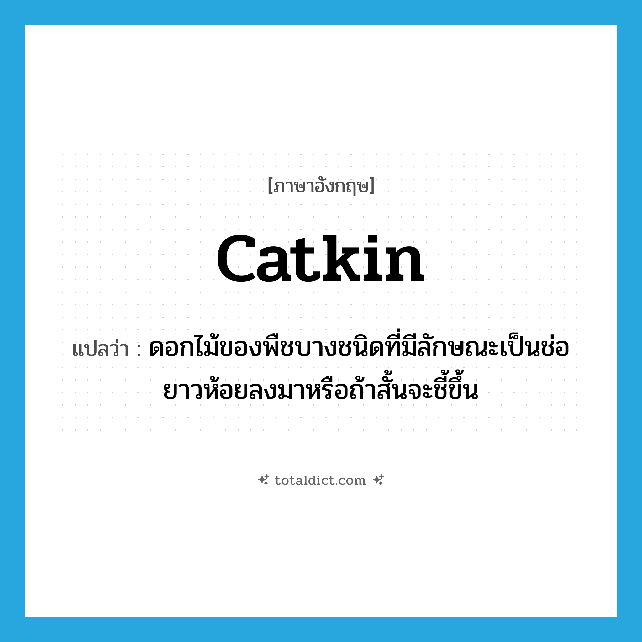 catkin แปลว่า?, คำศัพท์ภาษาอังกฤษ catkin แปลว่า ดอกไม้ของพืชบางชนิดที่มีลักษณะเป็นช่อยาวห้อยลงมาหรือถ้าสั้นจะชี้ขึ้น ประเภท N หมวด N