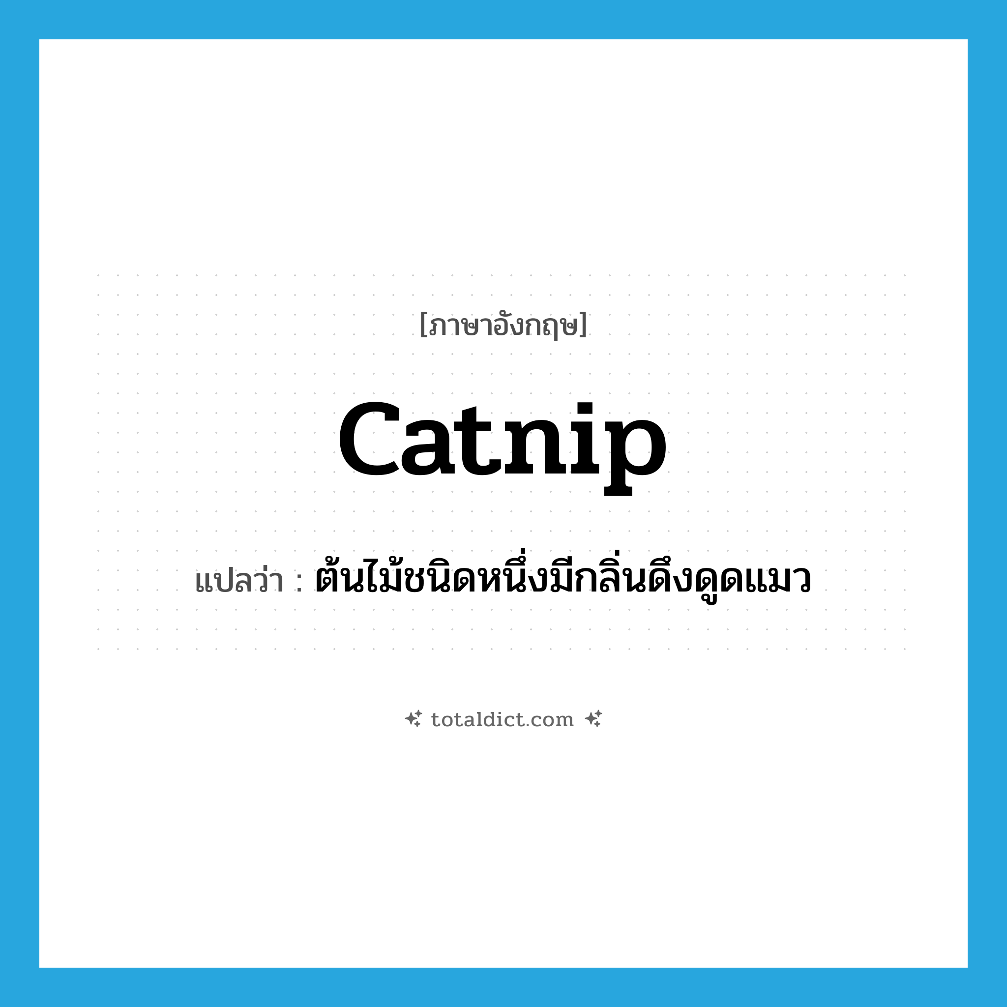 catnip แปลว่า?, คำศัพท์ภาษาอังกฤษ catnip แปลว่า ต้นไม้ชนิดหนึ่งมีกลิ่นดึงดูดแมว ประเภท N หมวด N