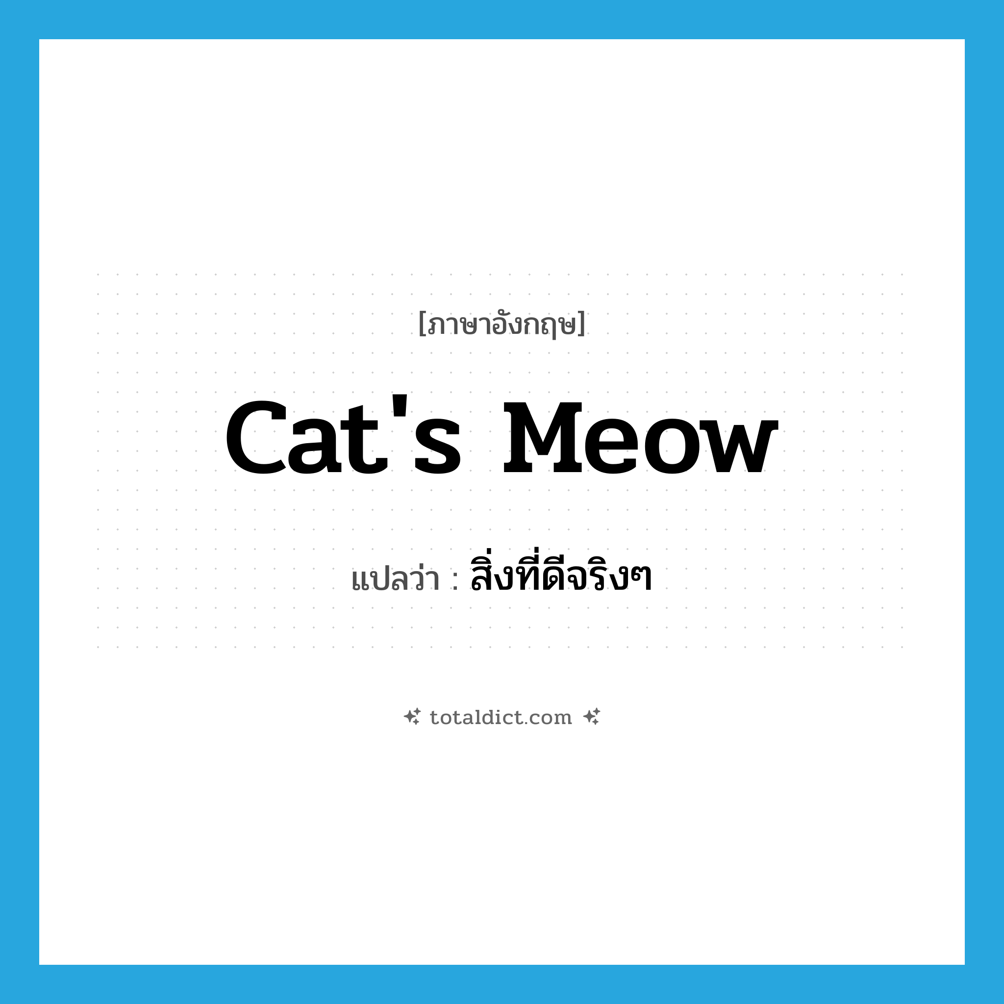 cat&#39;s meow แปลว่า?, คำศัพท์ภาษาอังกฤษ cat&#39;s meow แปลว่า สิ่งที่ดีจริงๆ ประเภท SL หมวด SL