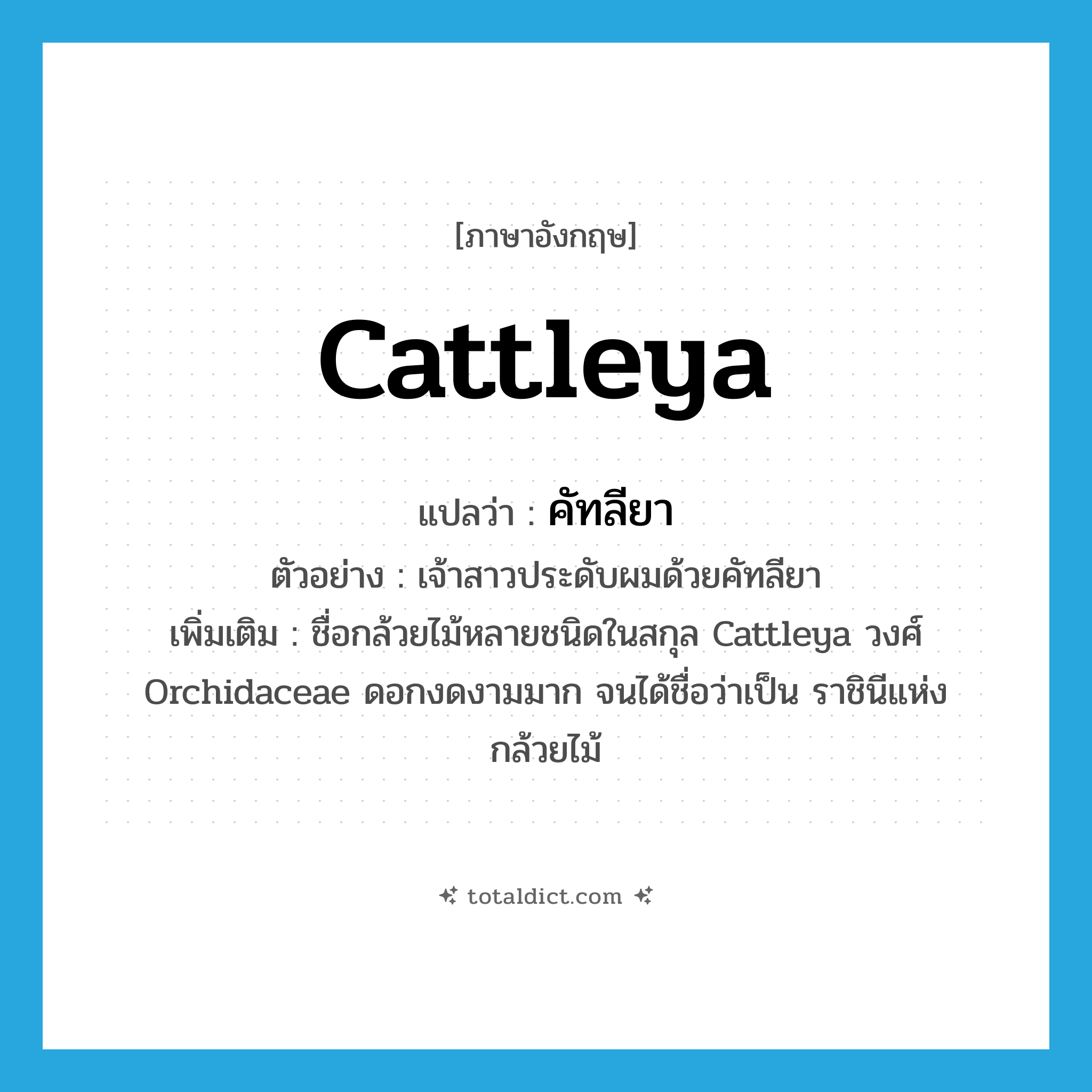 cattleya แปลว่า?, คำศัพท์ภาษาอังกฤษ Cattleya แปลว่า คัทลียา ประเภท N ตัวอย่าง เจ้าสาวประดับผมด้วยคัทลียา เพิ่มเติม ชื่อกล้วยไม้หลายชนิดในสกุล Cattleya วงศ์ Orchidaceae ดอกงดงามมาก จนได้ชื่อว่าเป็น ราชินีแห่งกล้วยไม้ หมวด N