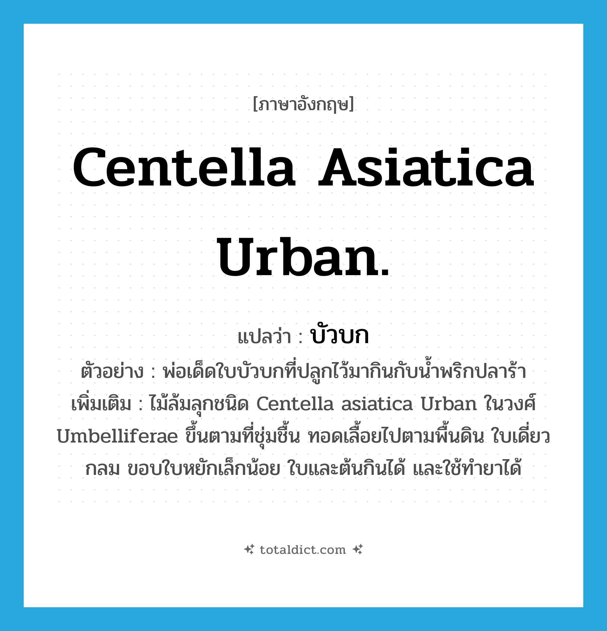 Centella asiatica Urban. แปลว่า?, คำศัพท์ภาษาอังกฤษ Centella asiatica Urban. แปลว่า บัวบก ประเภท N ตัวอย่าง พ่อเด็ดใบบัวบกที่ปลูกไว้มากินกับน้ำพริกปลาร้า เพิ่มเติม ไม้ล้มลุกชนิด Centella asiatica Urban ในวงศ์ Umbelliferae ขึ้นตามที่ชุ่มชื้น ทอดเลื้อยไปตามพื้นดิน ใบเดี่ยวกลม ขอบใบหยักเล็กน้อย ใบและต้นกินได้ และใช้ทำยาได้ หมวด N