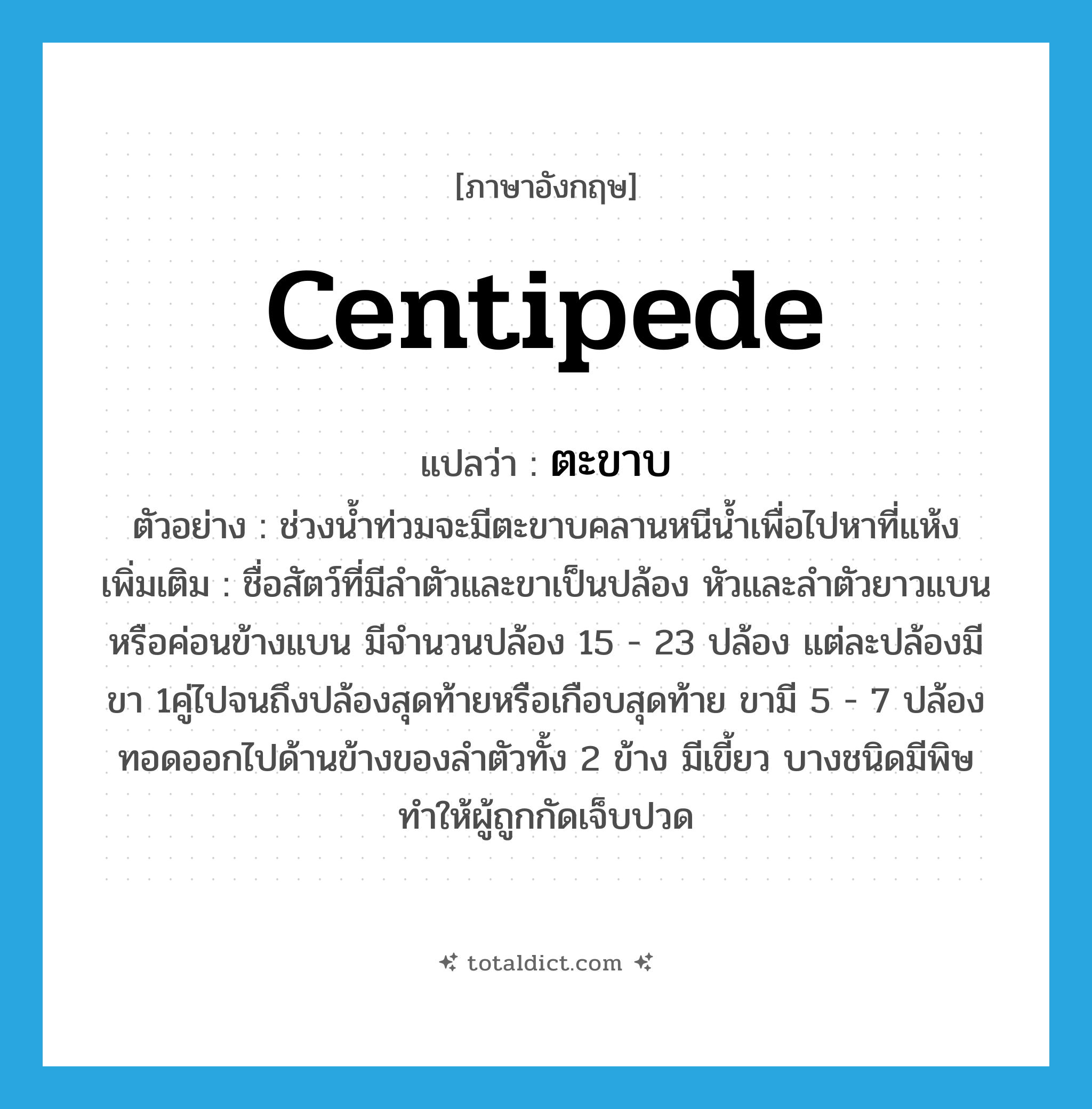 ตะขาบ ภาษาอังกฤษ?, คำศัพท์ภาษาอังกฤษ ตะขาบ แปลว่า centipede ประเภท N ตัวอย่าง ช่วงน้ำท่วมจะมีตะขาบคลานหนีน้ำเพื่อไปหาที่แห้ง เพิ่มเติม ชื่อสัตว์ที่มีลำตัวและขาเป็นปล้อง หัวและลำตัวยาวแบนหรือค่อนข้างแบน มีจำนวนปล้อง 15 - 23 ปล้อง แต่ละปล้องมีขา 1คู่ไปจนถึงปล้องสุดท้ายหรือเกือบสุดท้าย ขามี 5 - 7 ปล้อง ทอดออกไปด้านข้างของลำตัวทั้ง 2 ข้าง มีเขี้ยว บางชนิดมีพิษ ทำให้ผู้ถูกกัดเจ็บปวด หมวด N