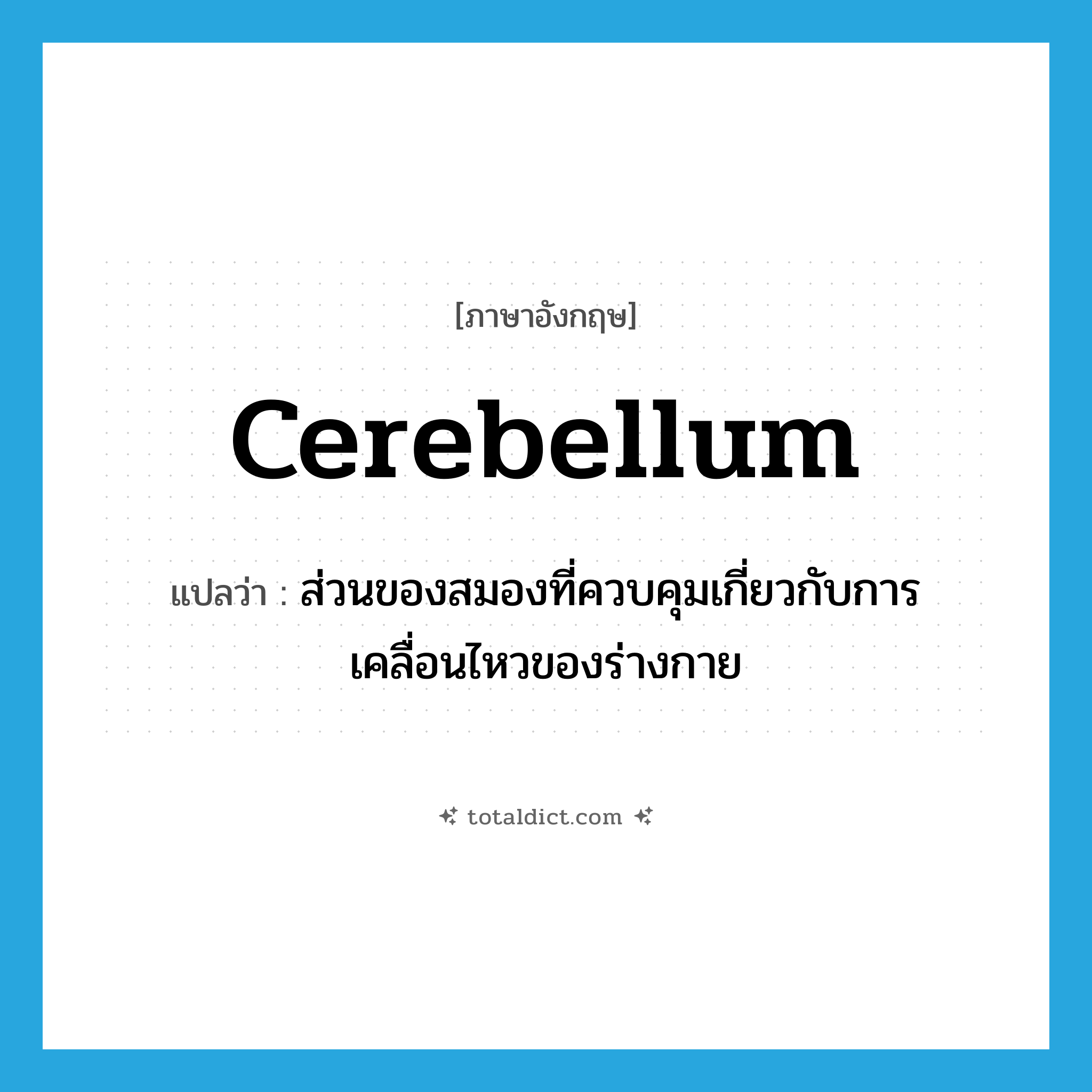 cerebellum แปลว่า?, คำศัพท์ภาษาอังกฤษ cerebellum แปลว่า ส่วนของสมองที่ควบคุมเกี่ยวกับการเคลื่อนไหวของร่างกาย ประเภท N หมวด N