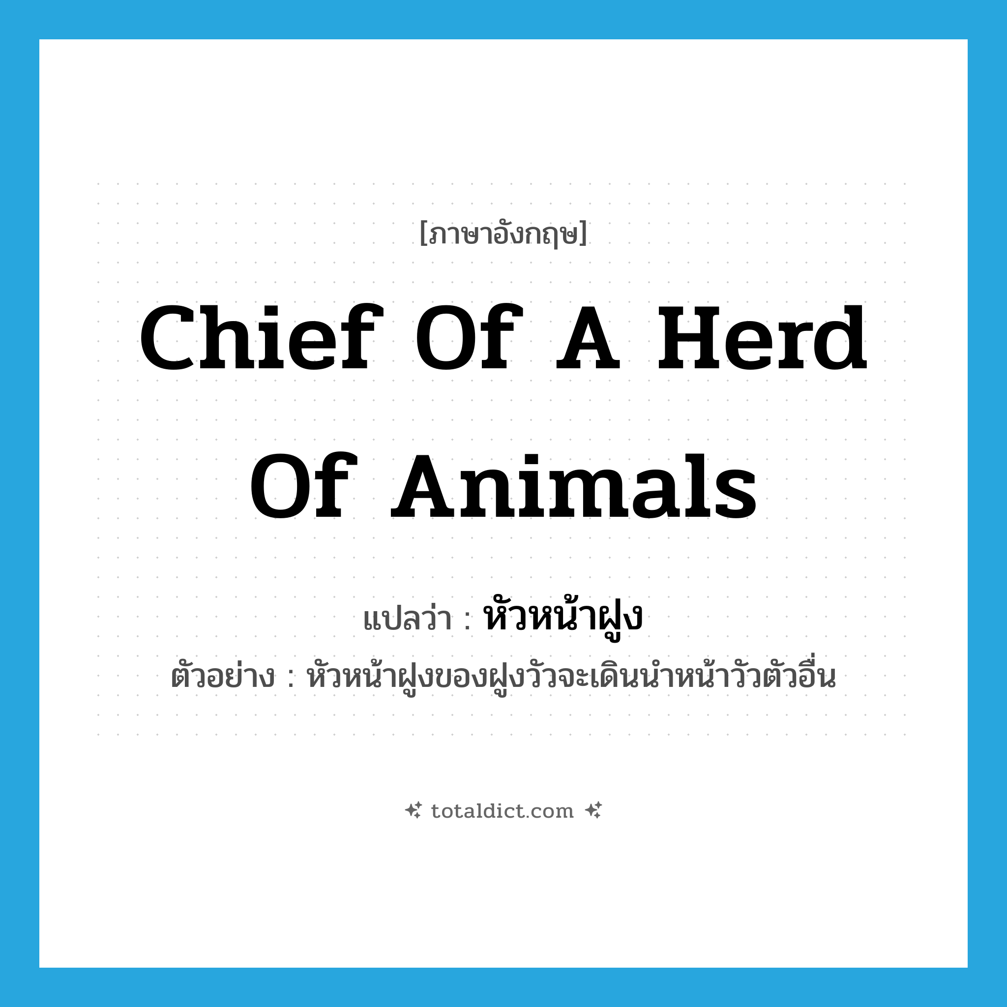 chief of a herd of animals แปลว่า?, คำศัพท์ภาษาอังกฤษ chief of a herd of animals แปลว่า หัวหน้าฝูง ประเภท N ตัวอย่าง หัวหน้าฝูงของฝูงวัวจะเดินนำหน้าวัวตัวอื่น หมวด N