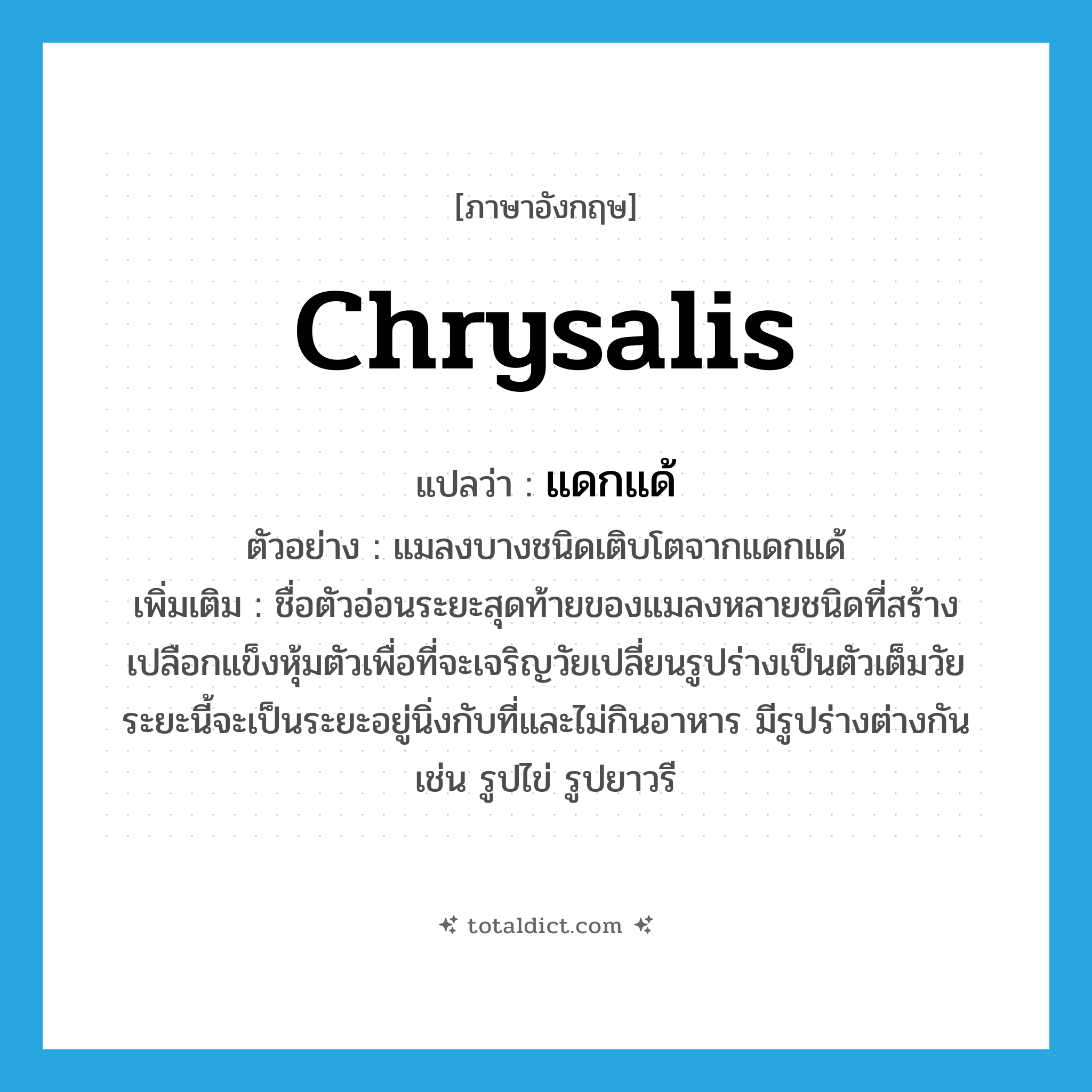 chrysalis แปลว่า?, คำศัพท์ภาษาอังกฤษ chrysalis แปลว่า แดกแด้ ประเภท N ตัวอย่าง แมลงบางชนิดเติบโตจากแดกแด้ เพิ่มเติม ชื่อตัวอ่อนระยะสุดท้ายของแมลงหลายชนิดที่สร้างเปลือกแข็งหุ้มตัวเพื่อที่จะเจริญวัยเปลี่ยนรูปร่างเป็นตัวเต็มวัย ระยะนี้จะเป็นระยะอยู่นิ่งกับที่และไม่กินอาหาร มีรูปร่างต่างกัน เช่น รูปไข่ รูปยาวรี หมวด N
