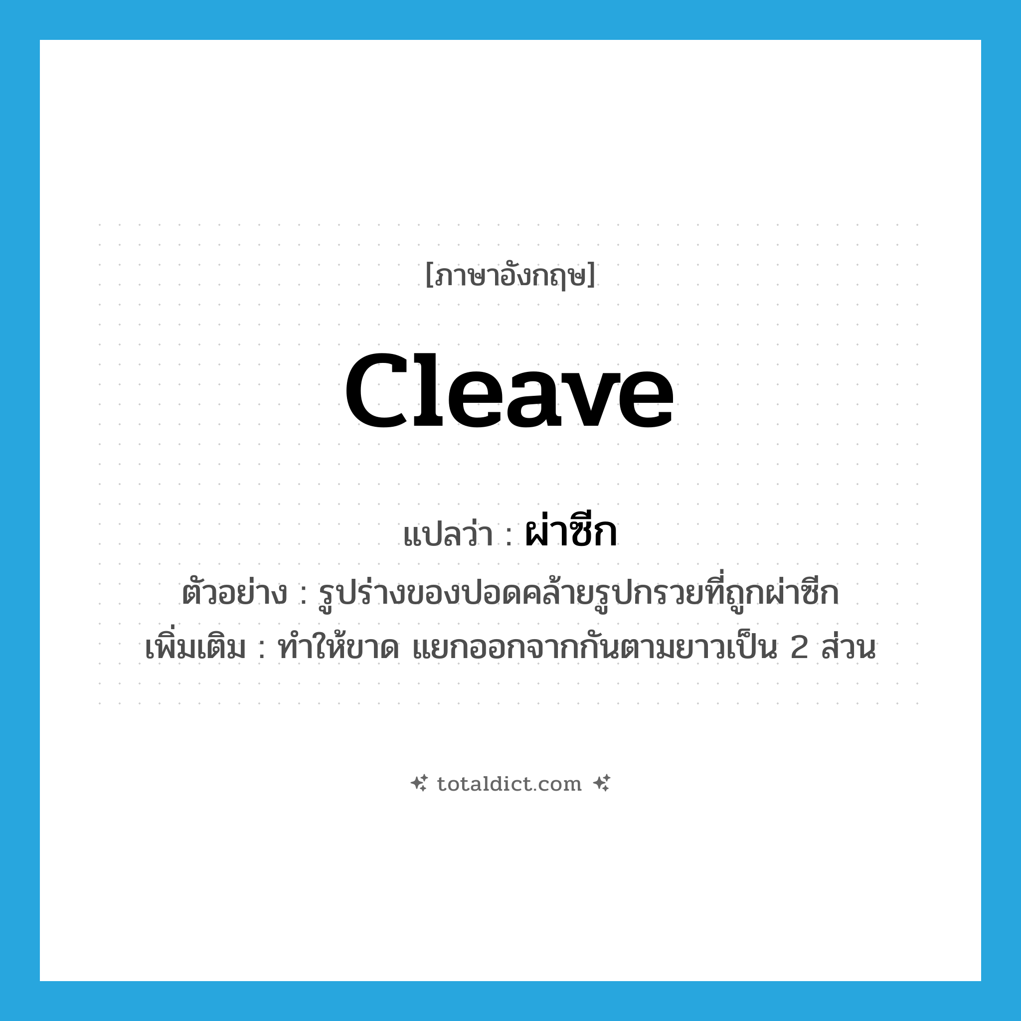 cleave แปลว่า?, คำศัพท์ภาษาอังกฤษ cleave แปลว่า ผ่าซีก ประเภท V ตัวอย่าง รูปร่างของปอดคล้ายรูปกรวยที่ถูกผ่าซีก เพิ่มเติม ทำให้ขาด แยกออกจากกันตามยาวเป็น 2 ส่วน หมวด V